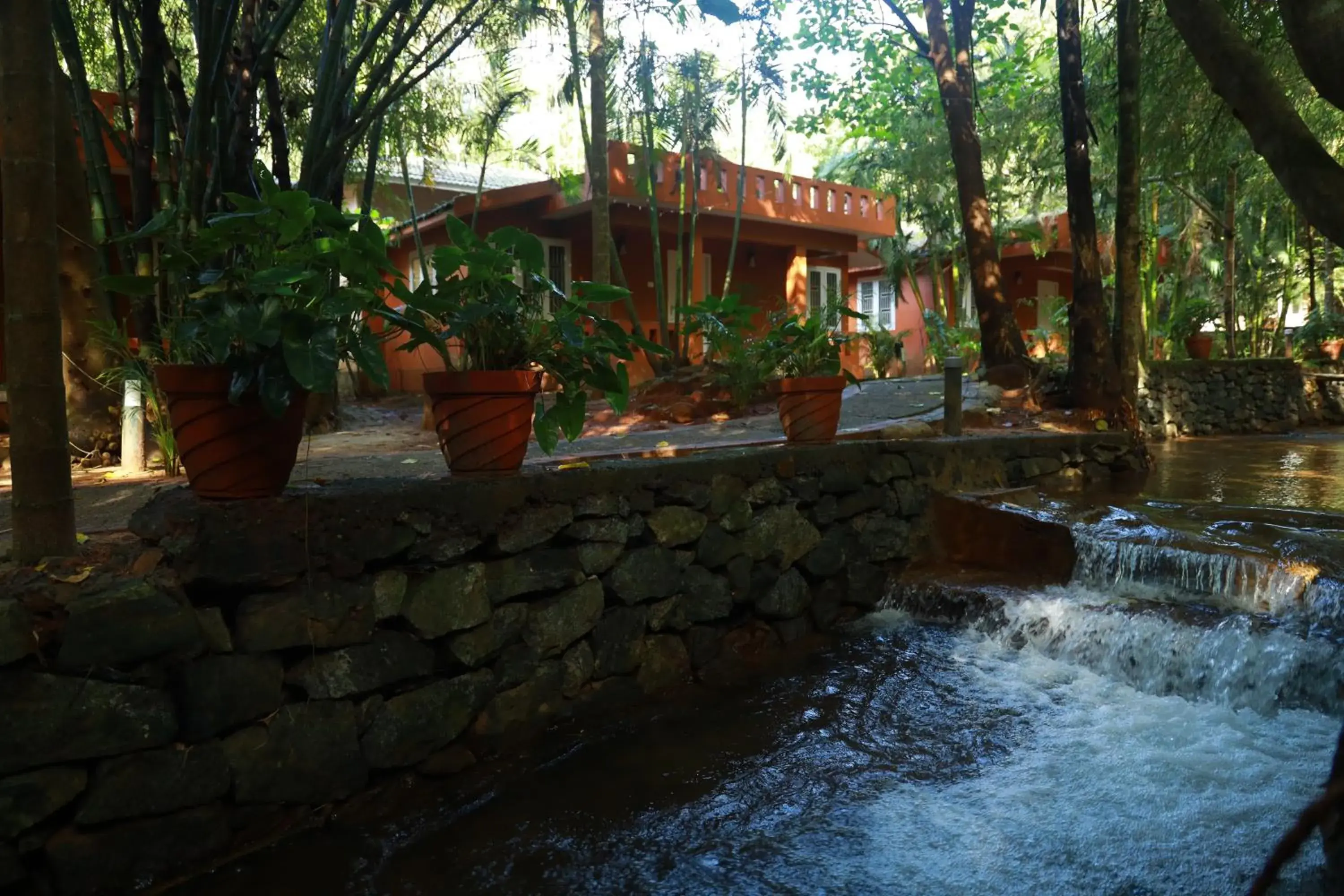 Property building in Lakkidi Village Resort Wayanad Property building in Lakkidi Village Resort Wayanad