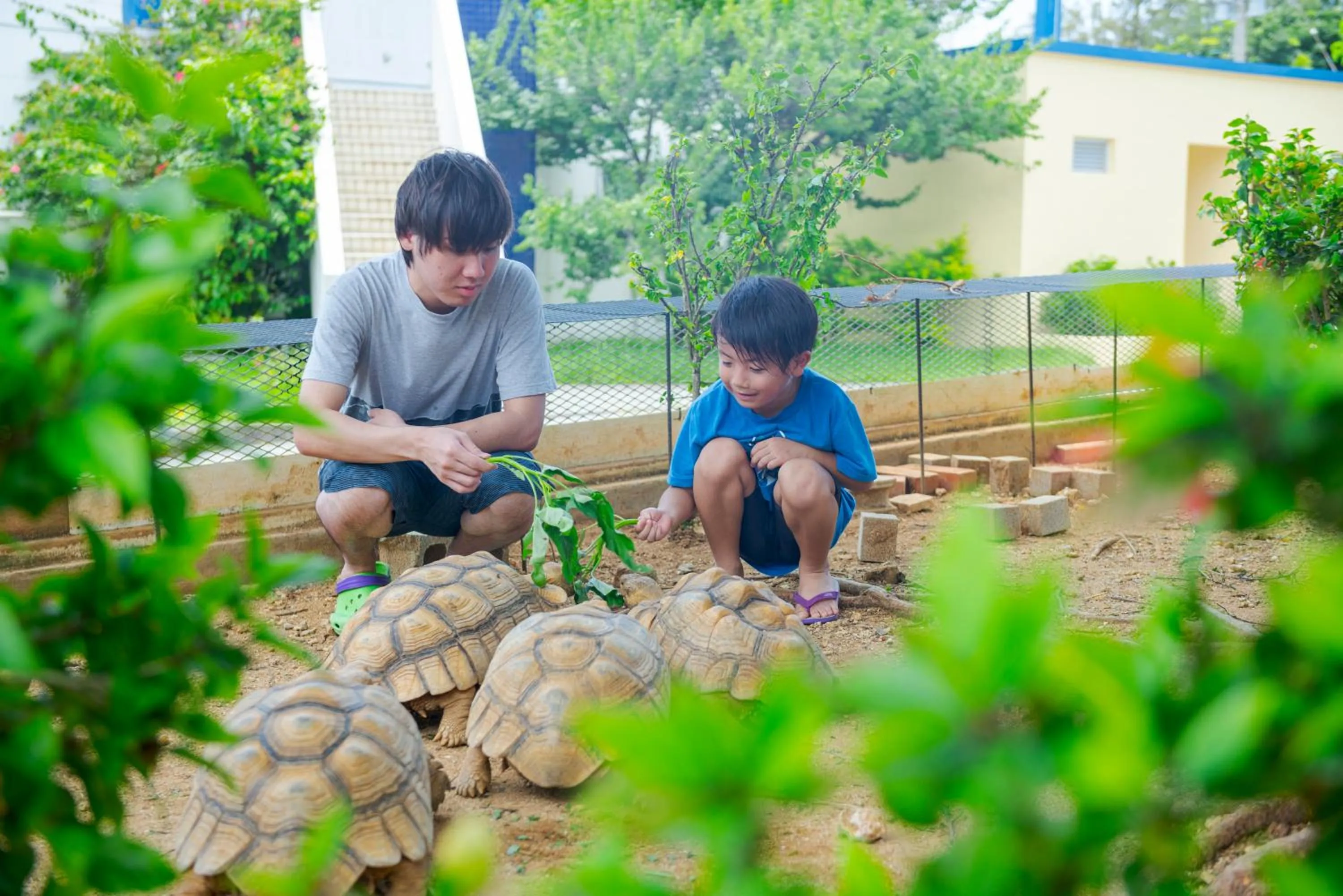Marine Piazza Okinawa