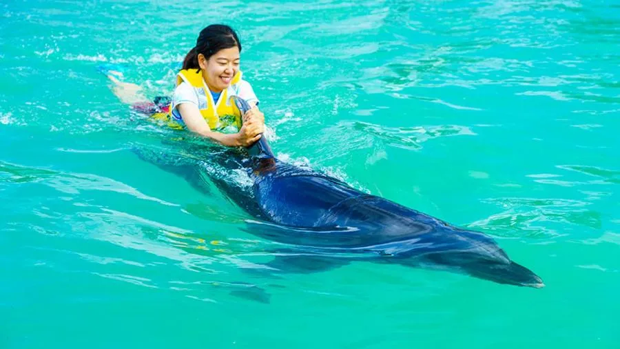 Marine Piazza Okinawa