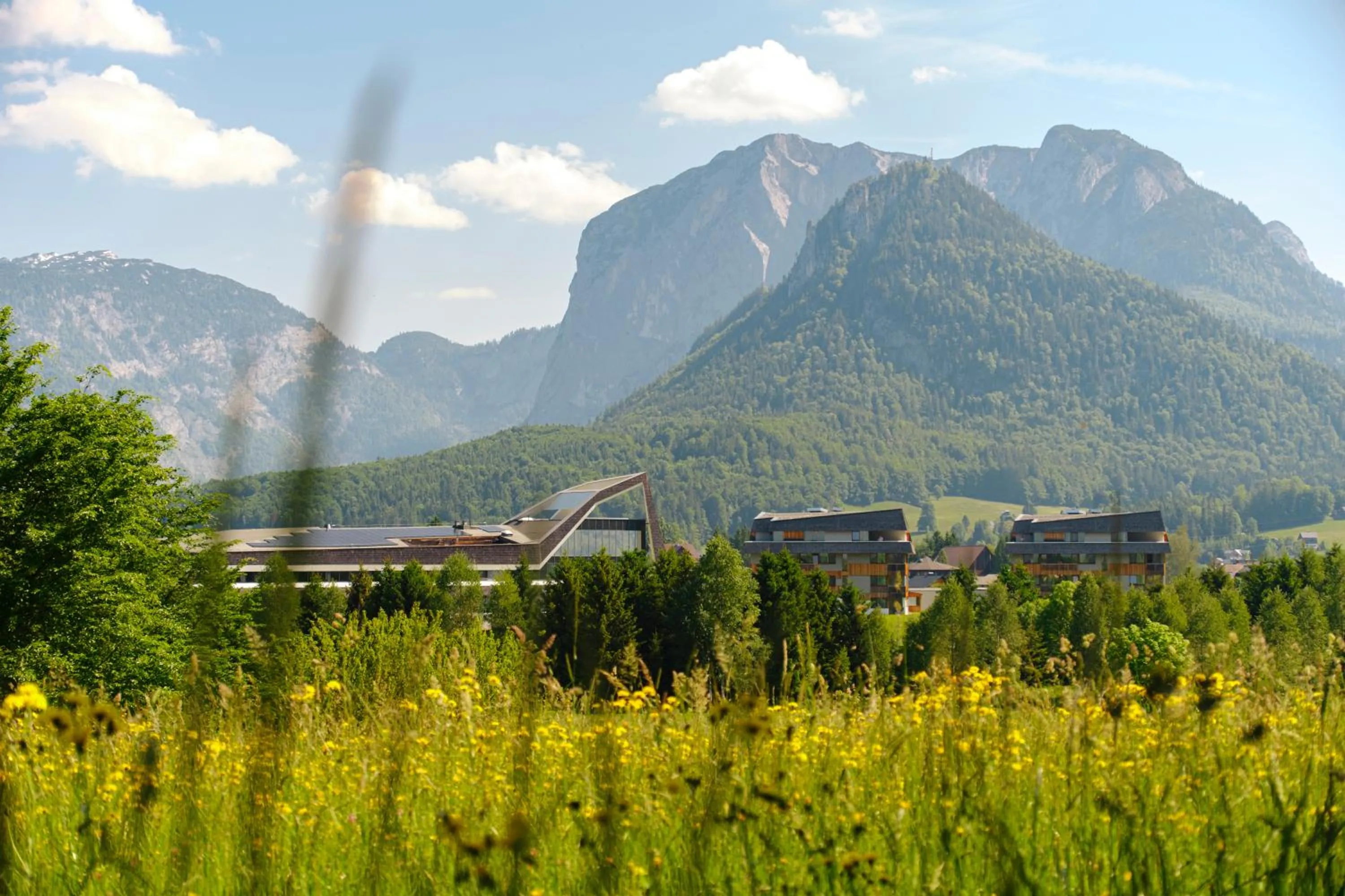 Natural landscape in Narzissen Vital Resort Bad Aussee