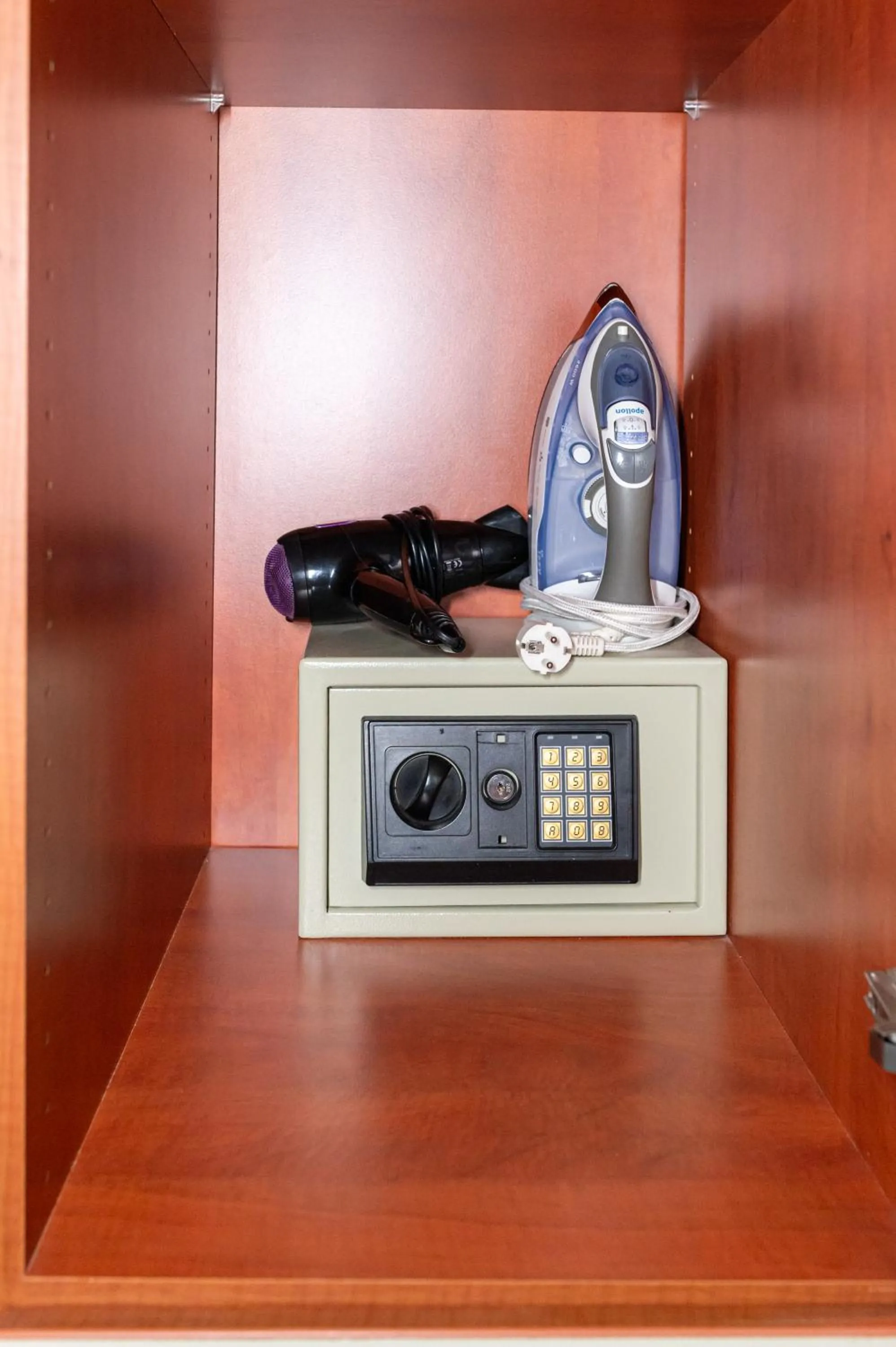 safe in Alena Apartments