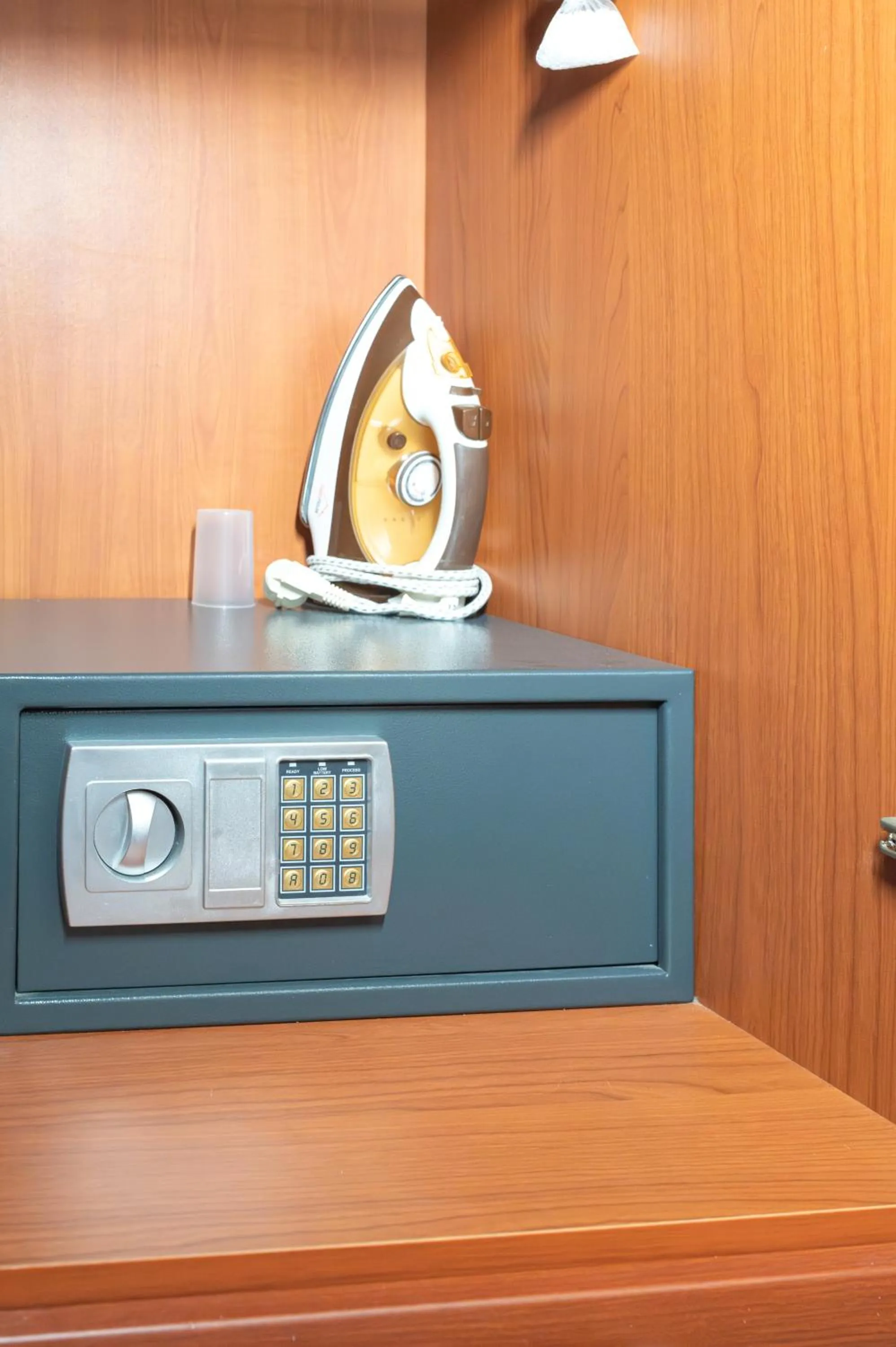 safe in Alena Apartments