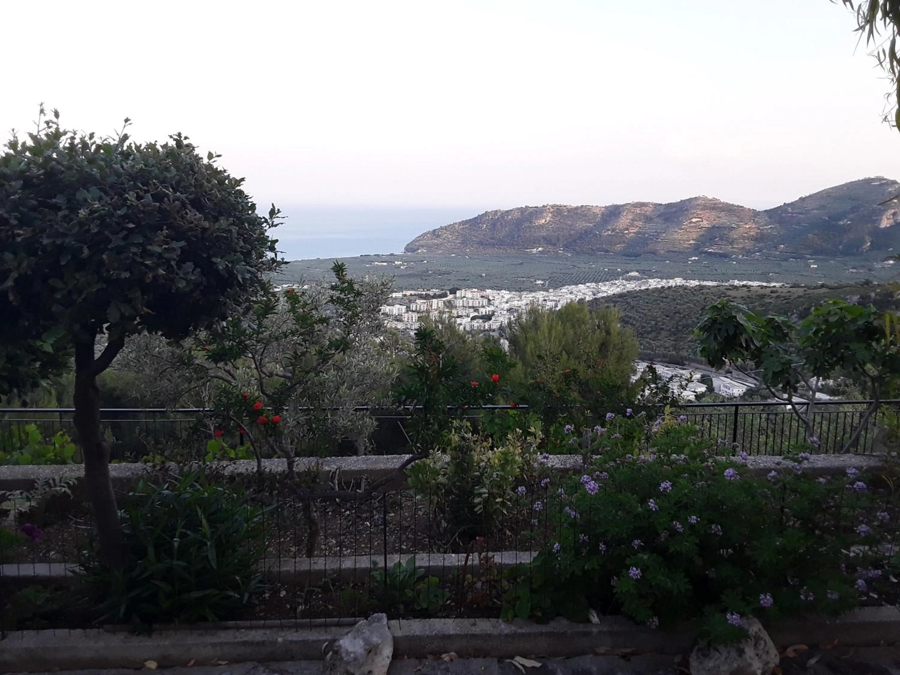 Sea view in B&B La Scapola