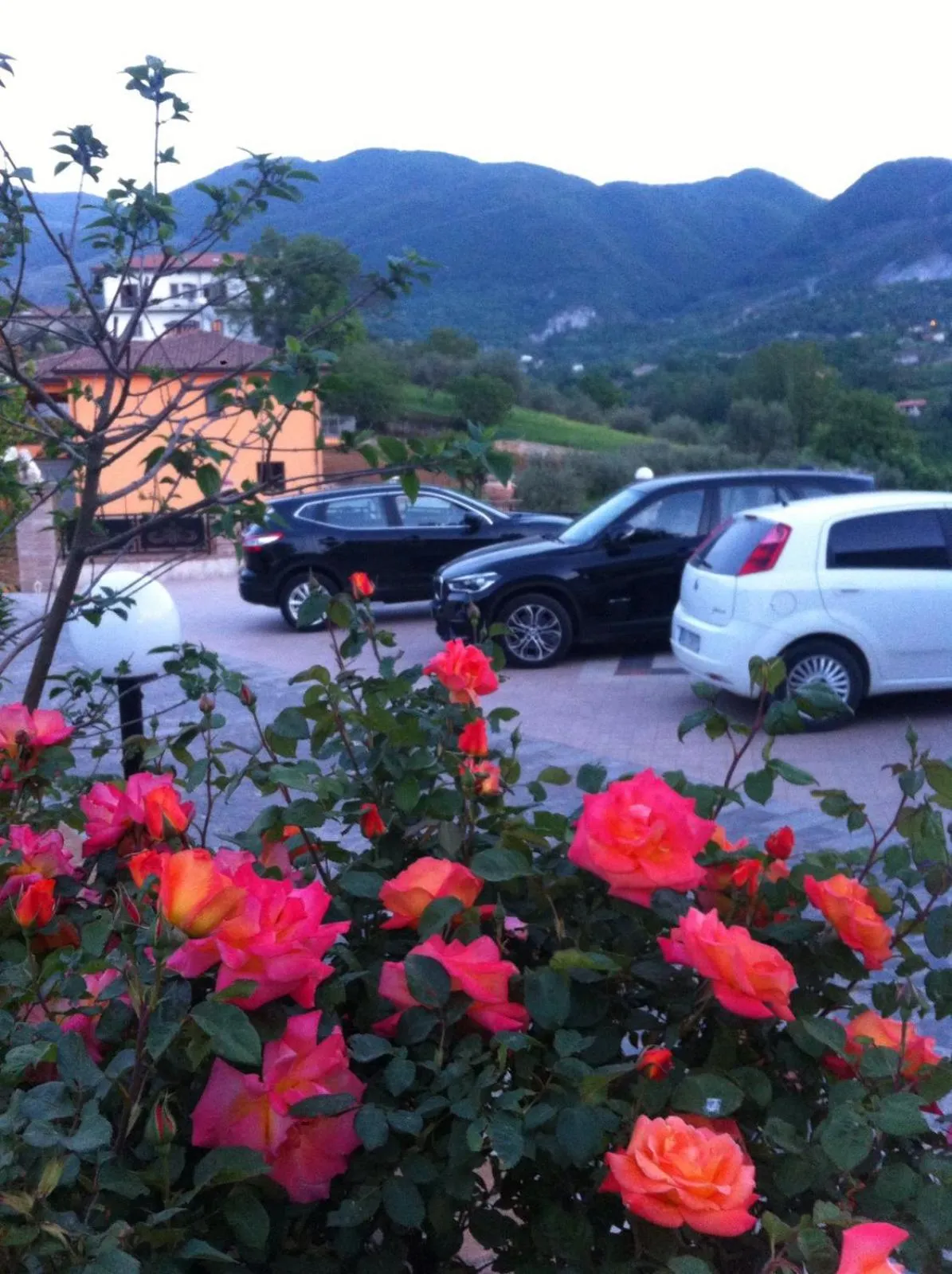 Area and facilities in B&B Cuoreverde Pollino