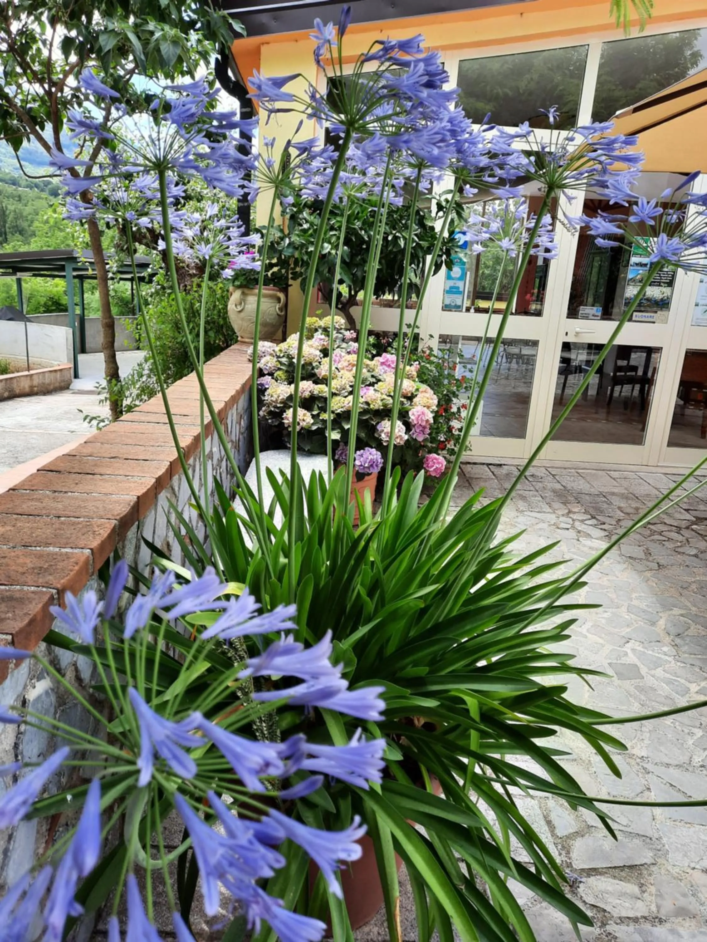 B&B Cuoreverde Pollino
