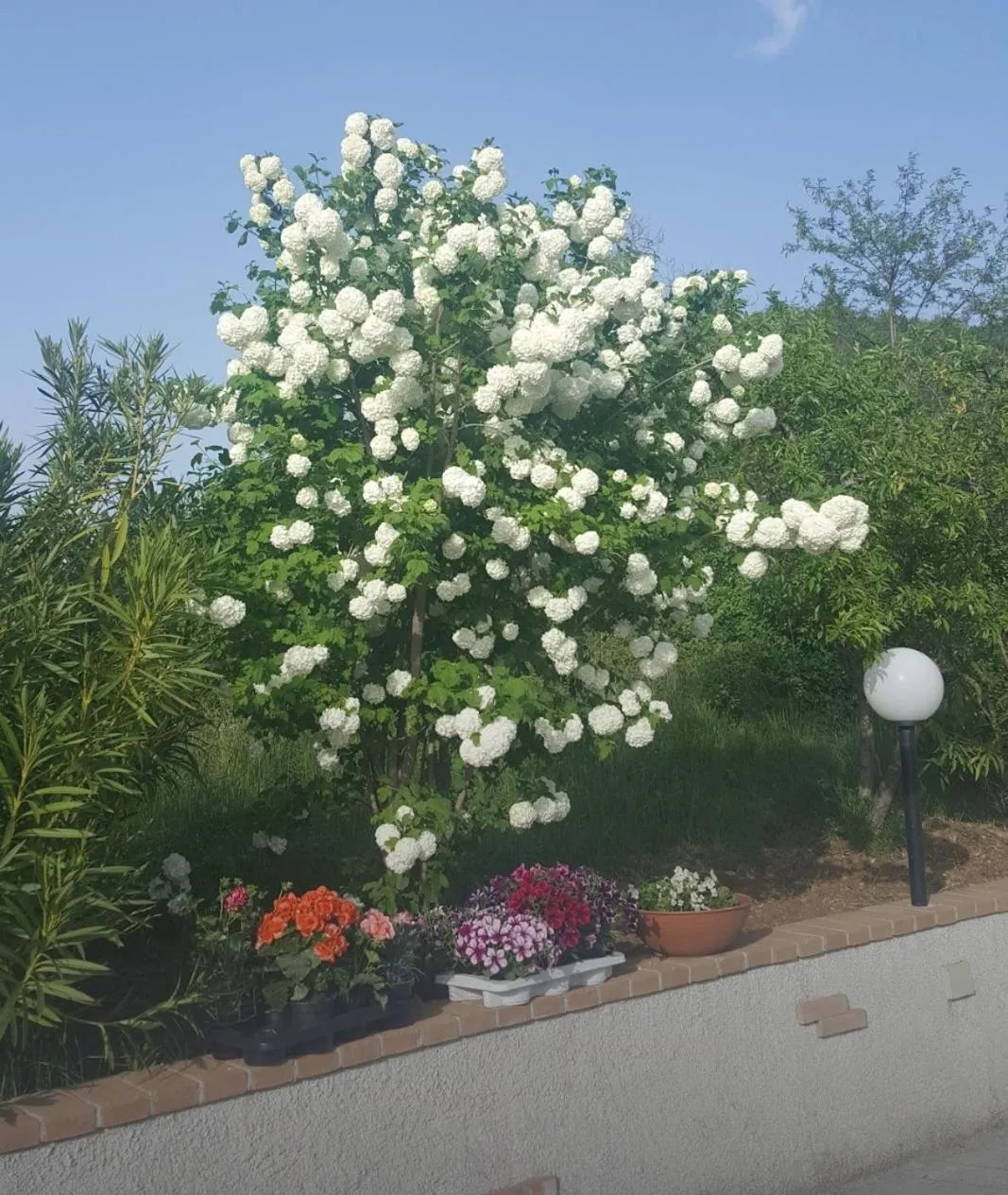 B&B Cuoreverde Pollino