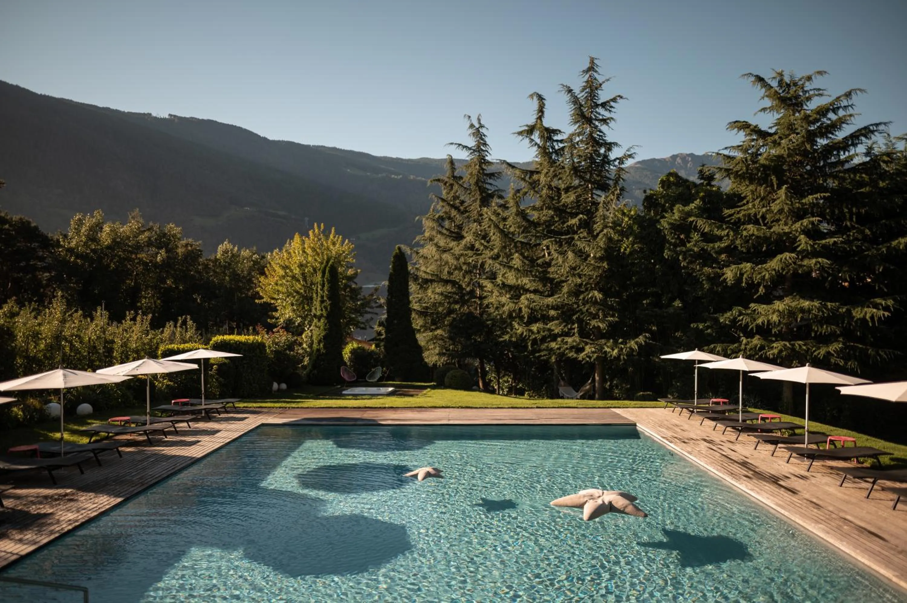 Swimming pool in Design Hotel Tyrol