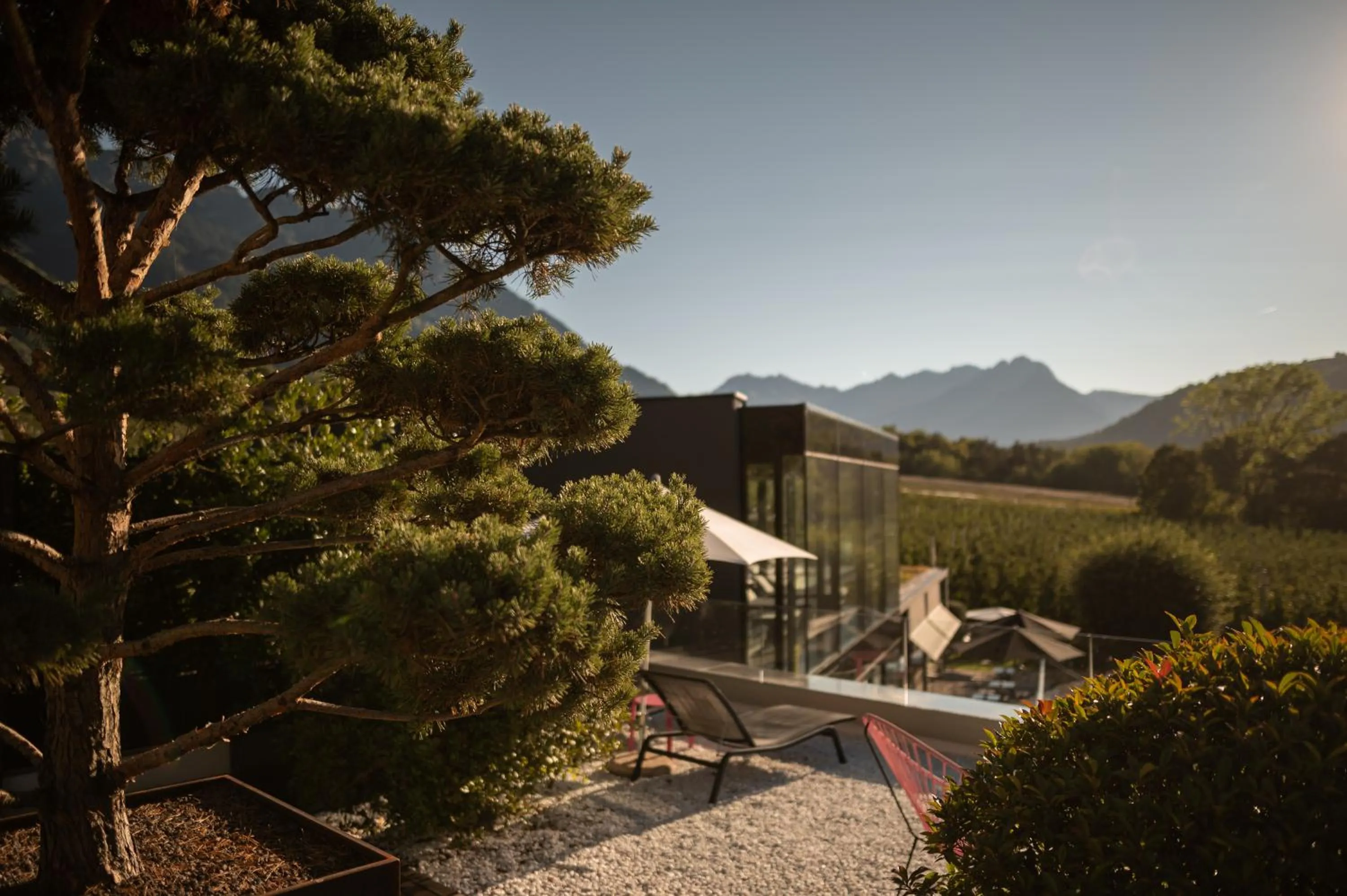 Swimming pool in Design Hotel Tyrol
