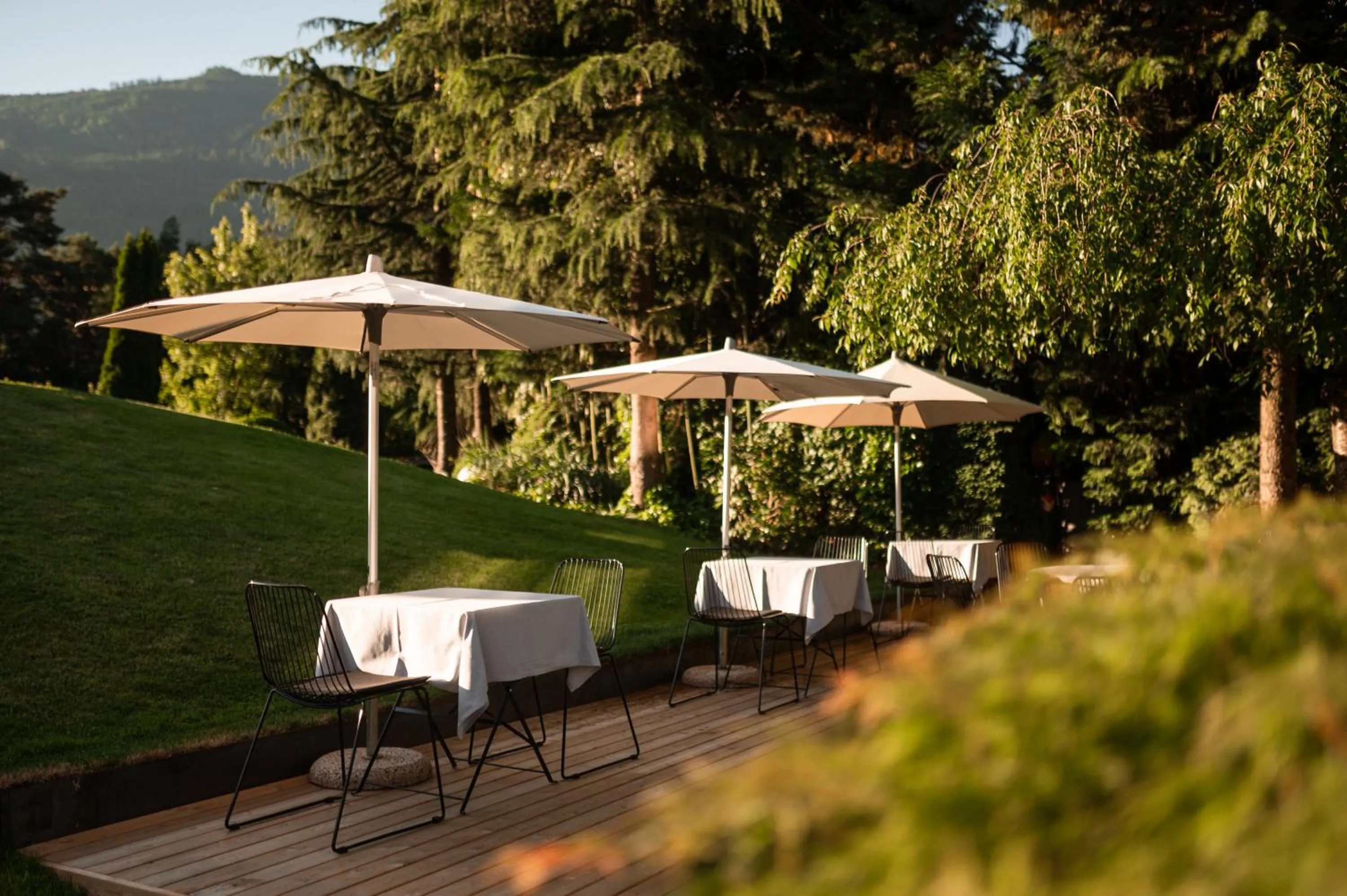 Garden in Design Hotel Tyrol