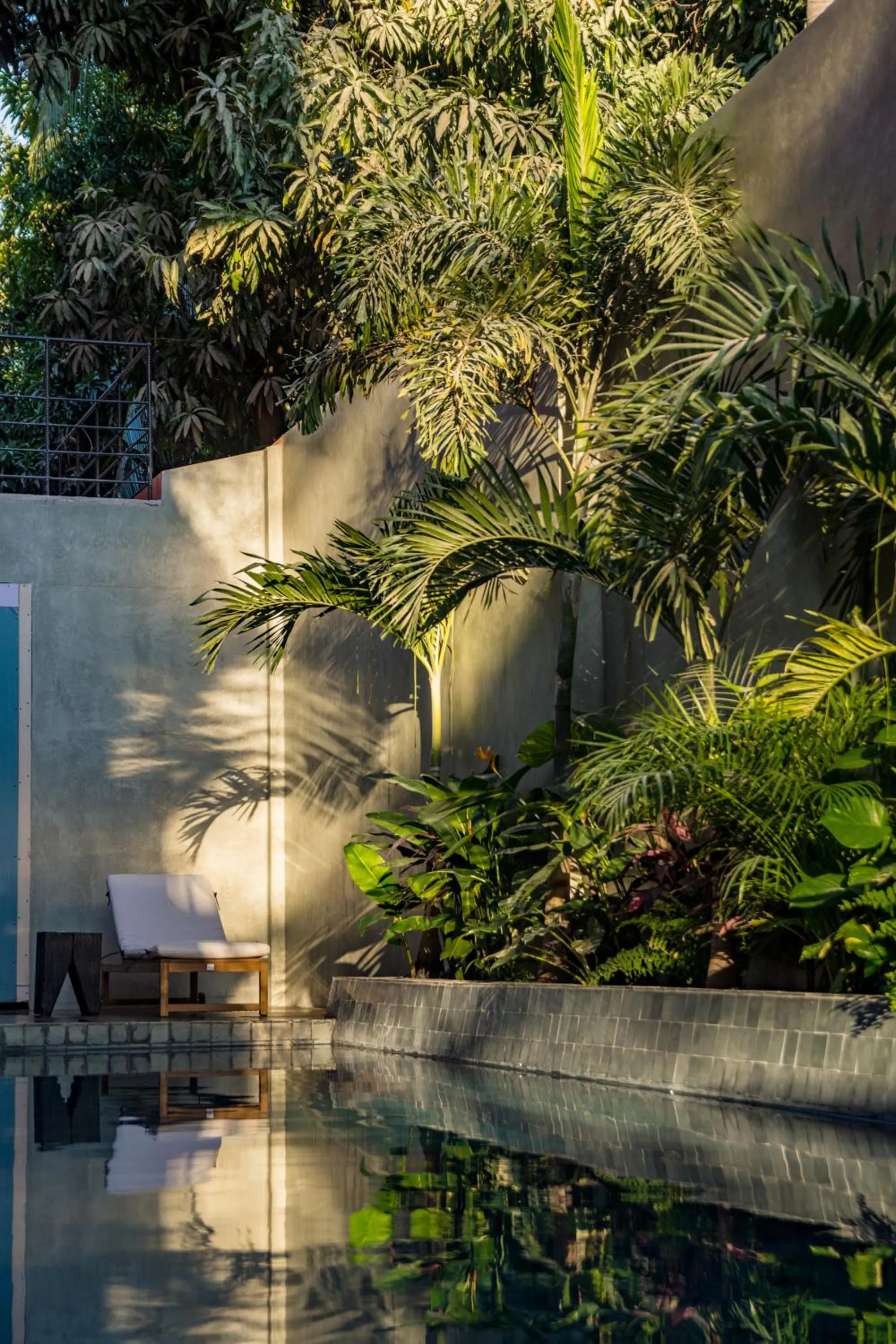 Swimming pool in Casa Toro La Punta