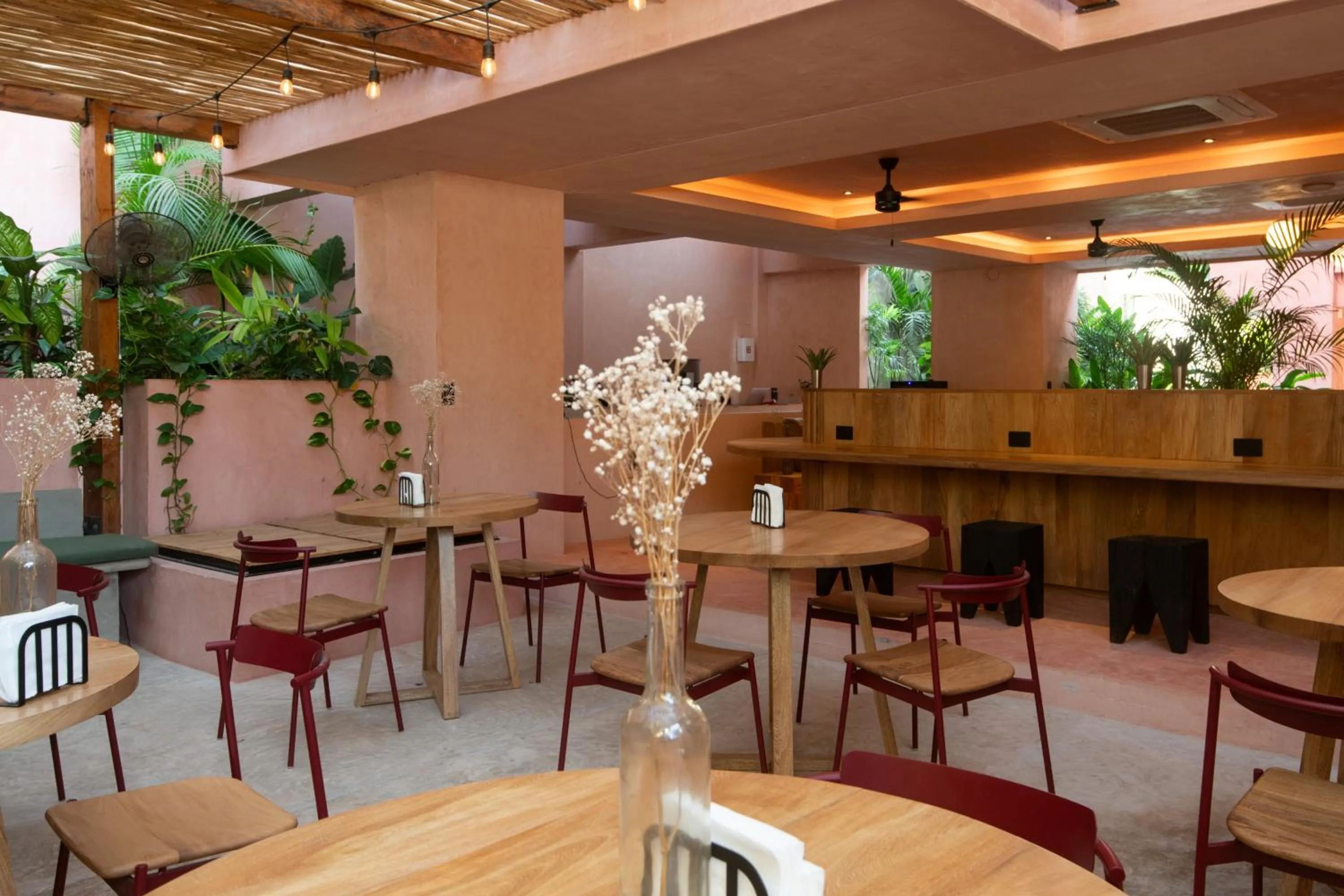 Restaurant/places to eat in Casa Toro La Punta