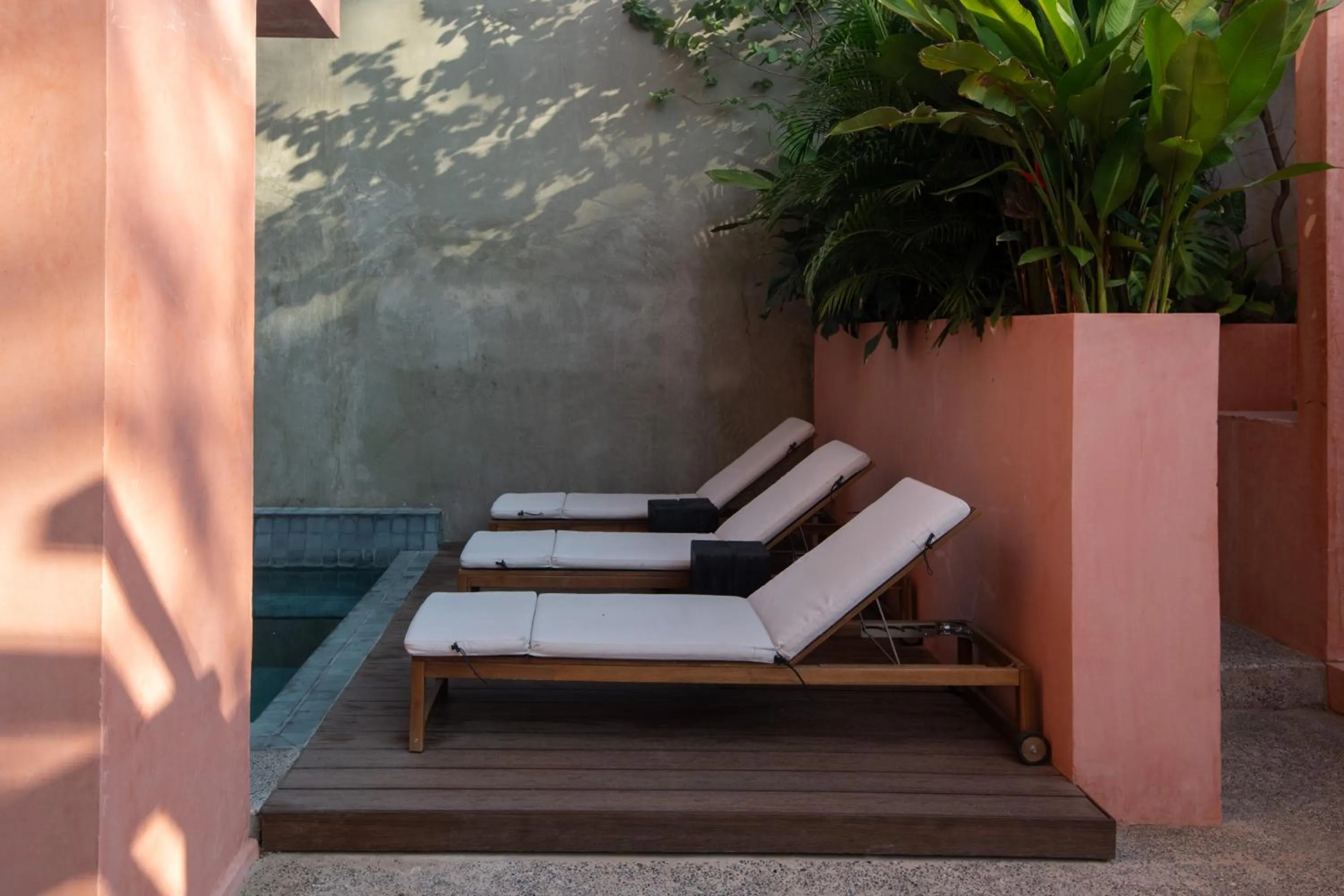 Swimming pool in Casa Toro La Punta