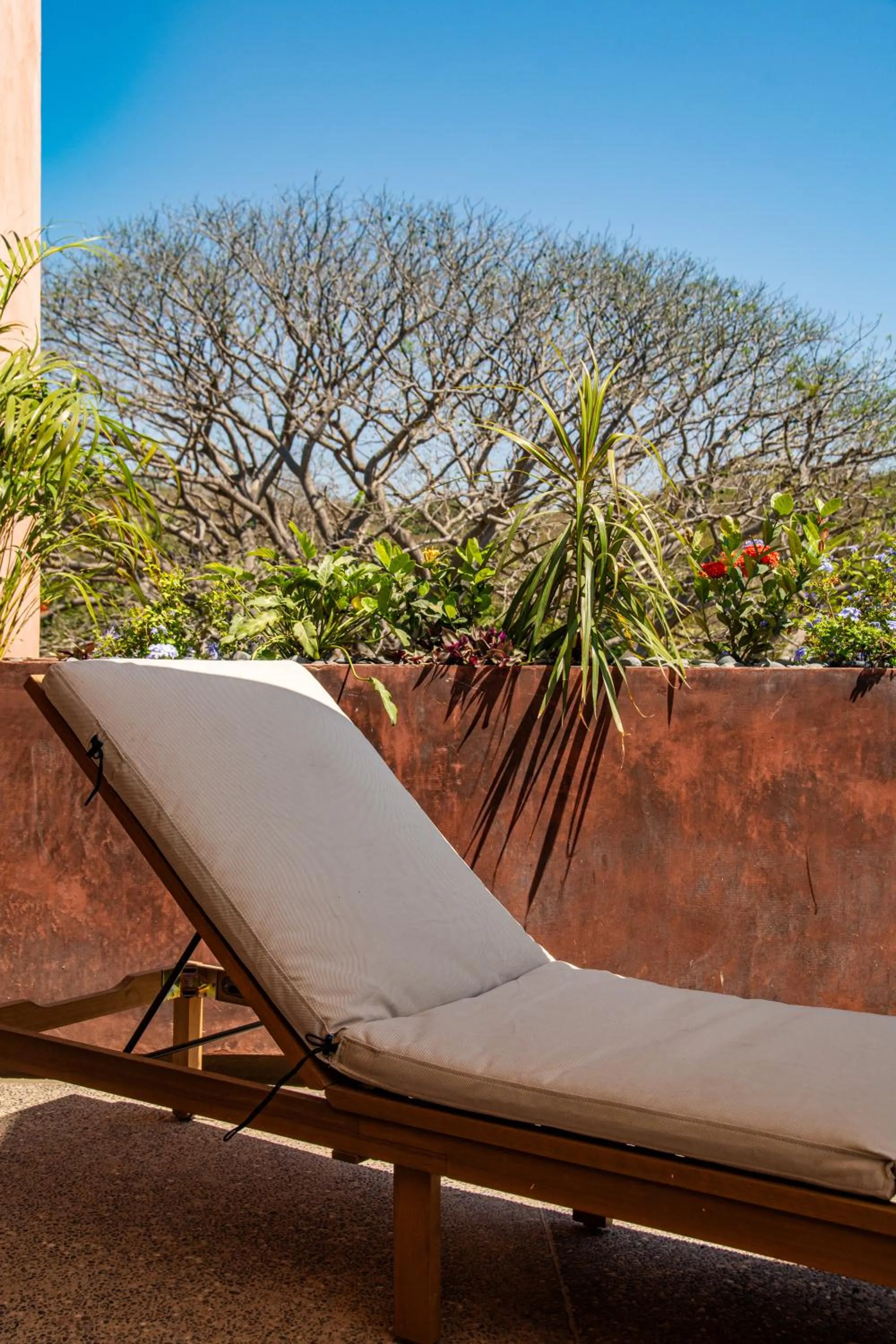 sunbed in Casa Toro La Punta