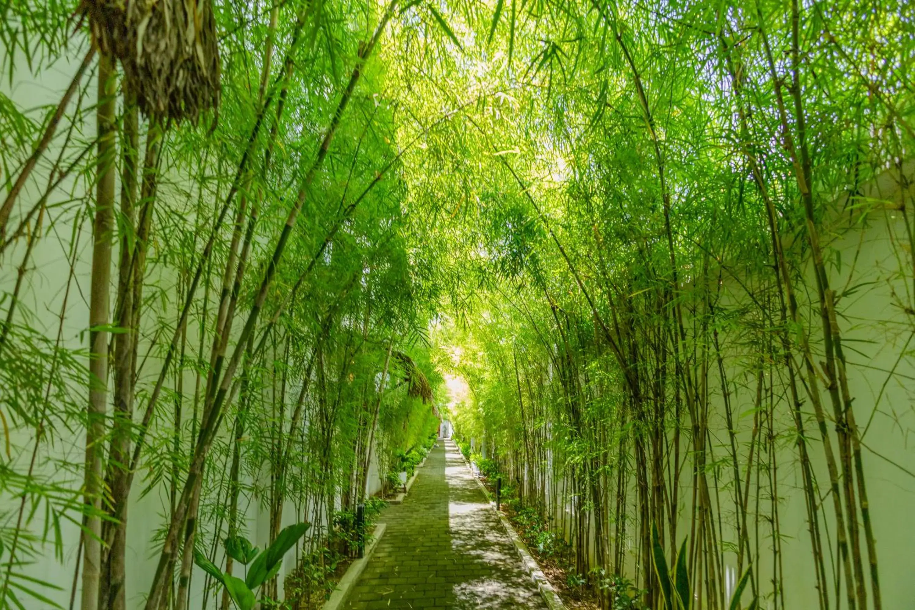 Property building in Baliterraneo Boutique Resort Seminyak Property building in Baliterraneo Boutique Resort Seminyak