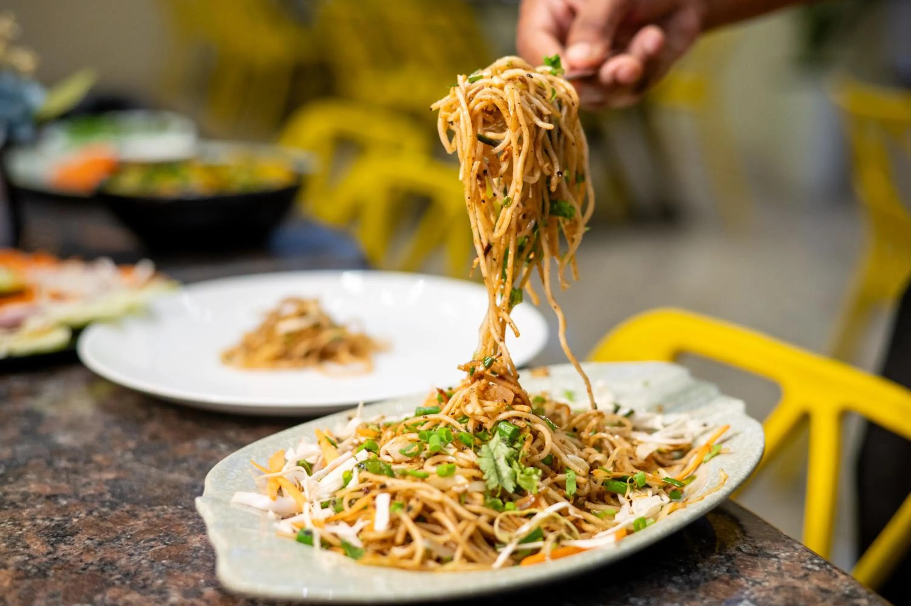 Food in Hotel Pravasa stay ,Shirdi