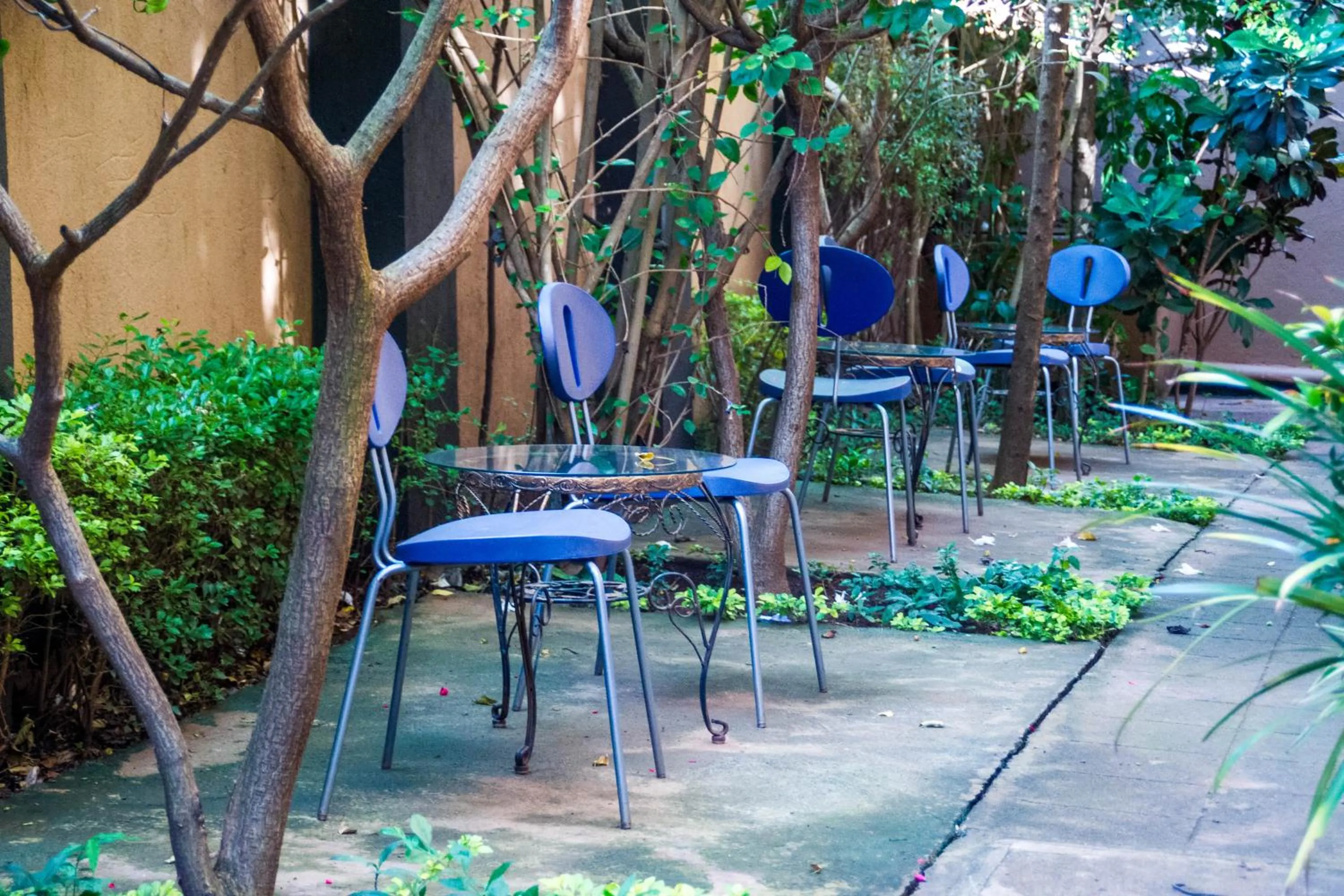 Garden in Hotel Gorilla's Nest Entebbe