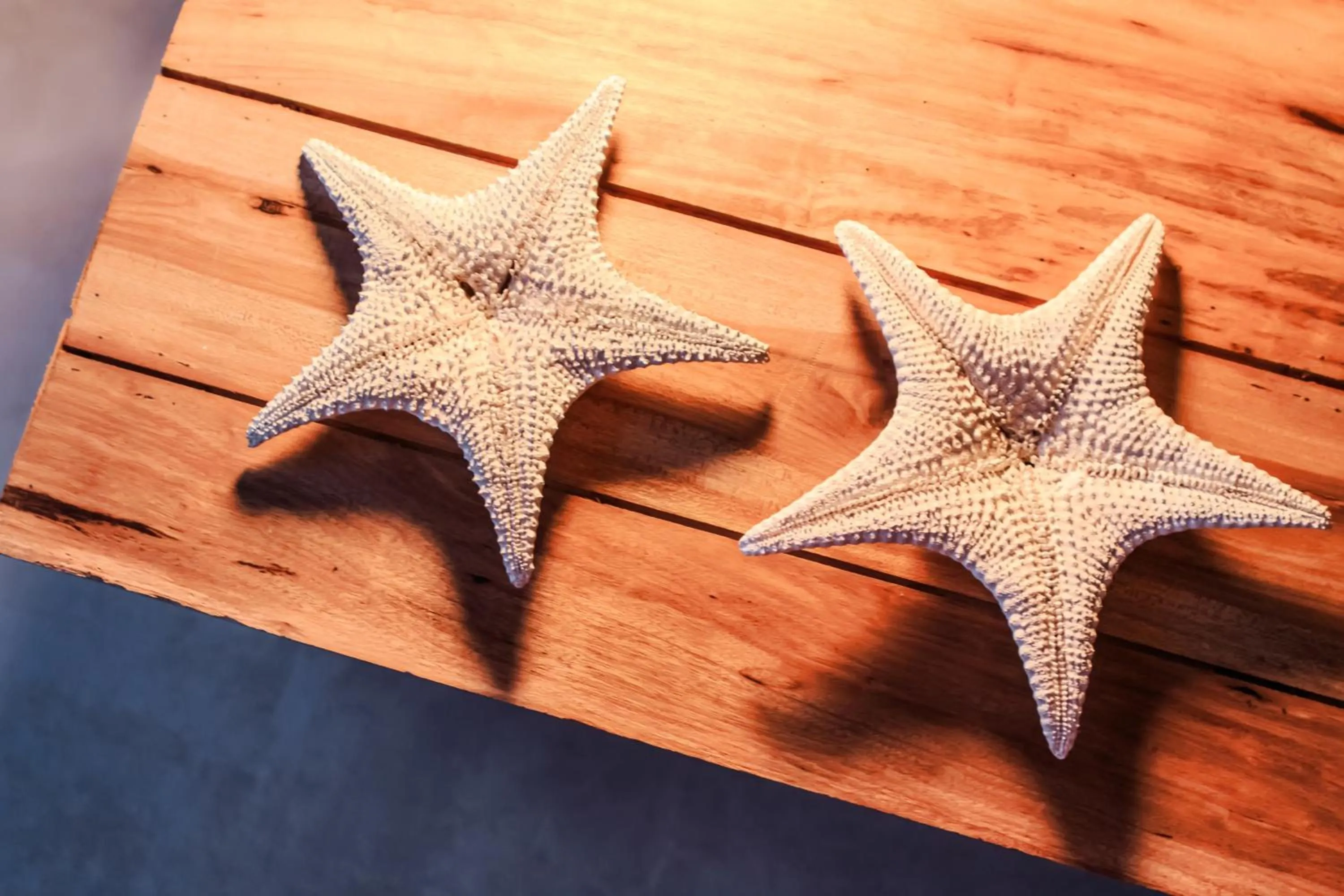 Other in Casa Mar Paraty