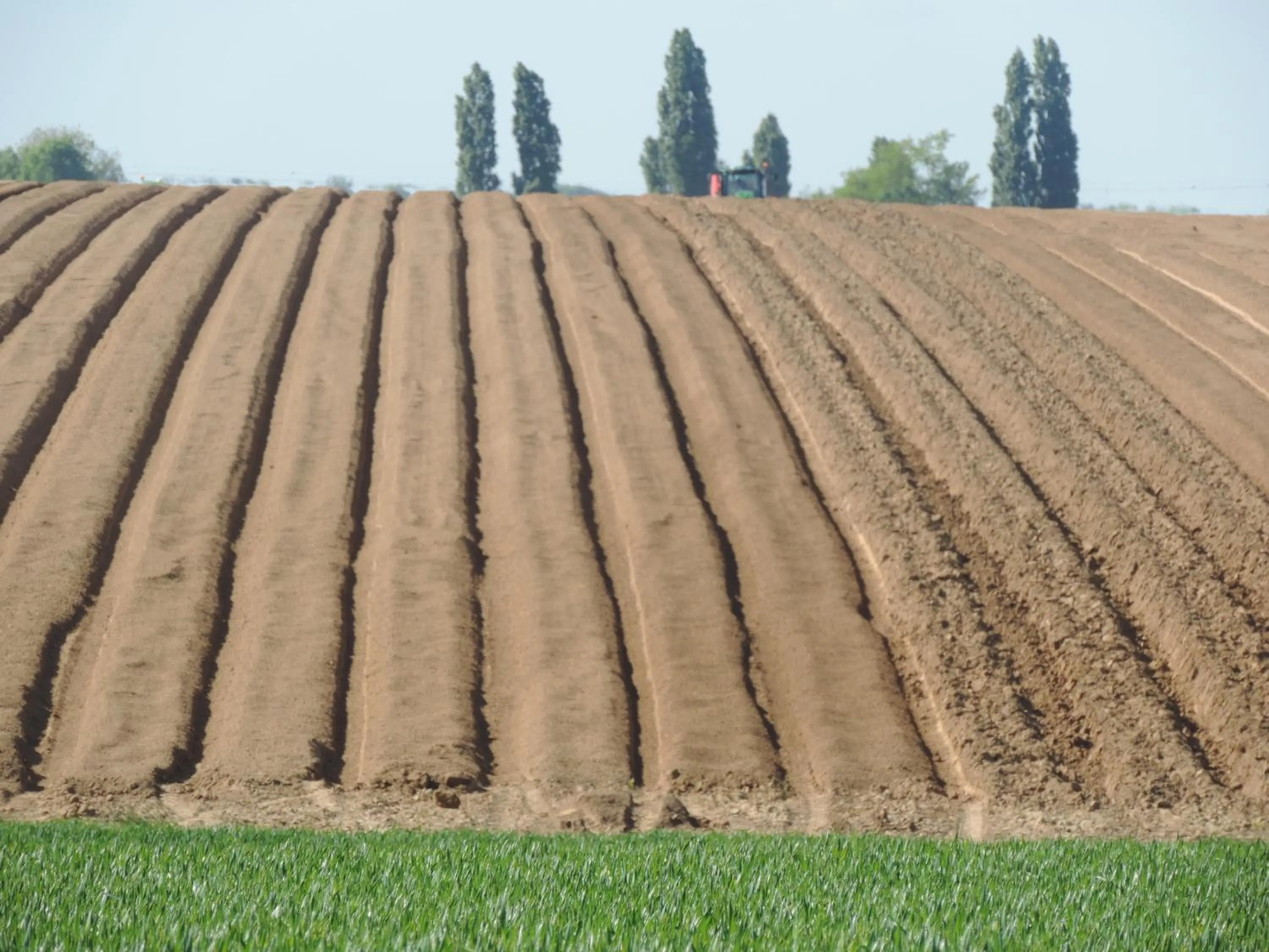 Chambres d'Hôtes de la Bucaille