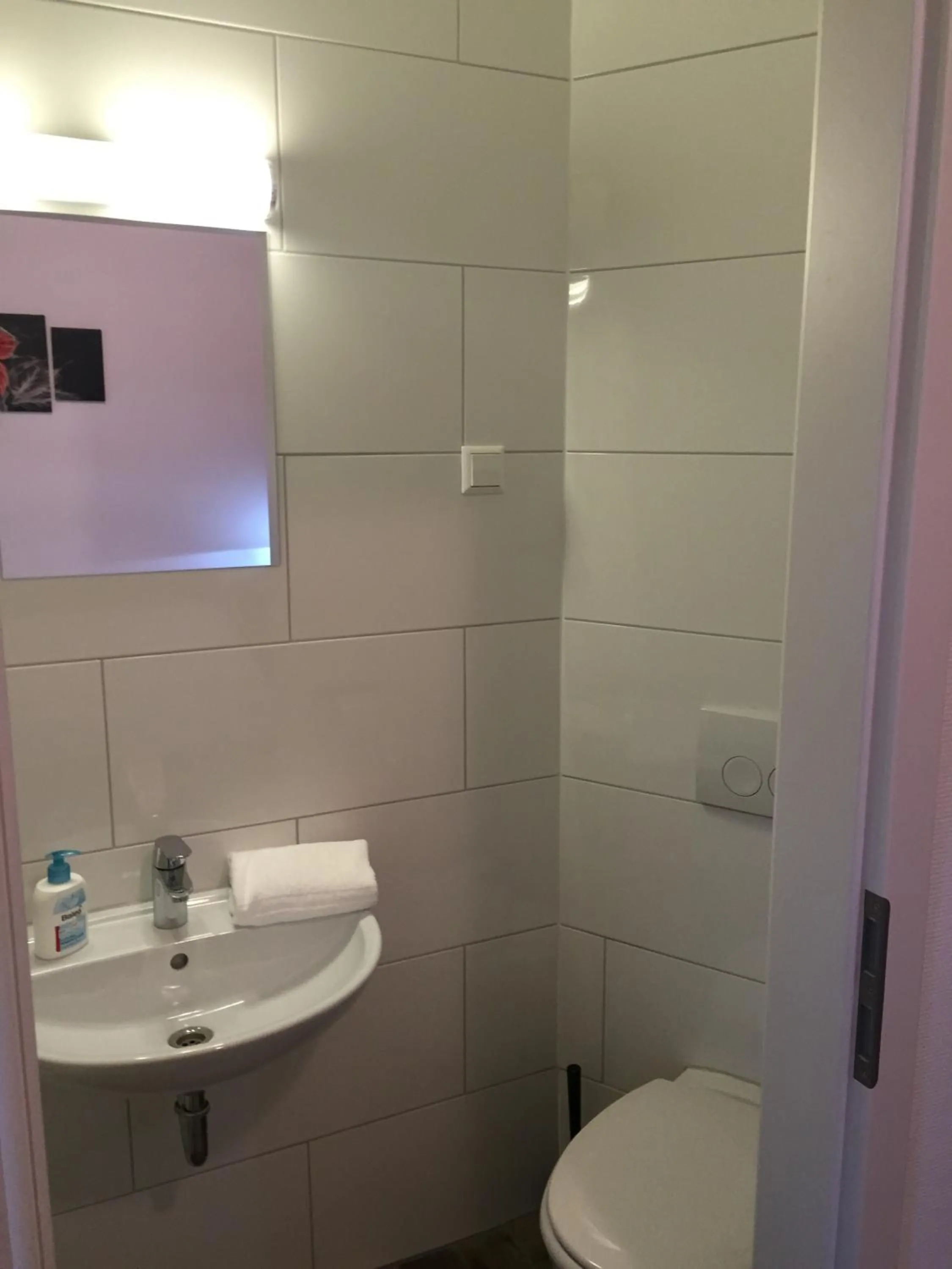 Bathroom in Hotel Engel