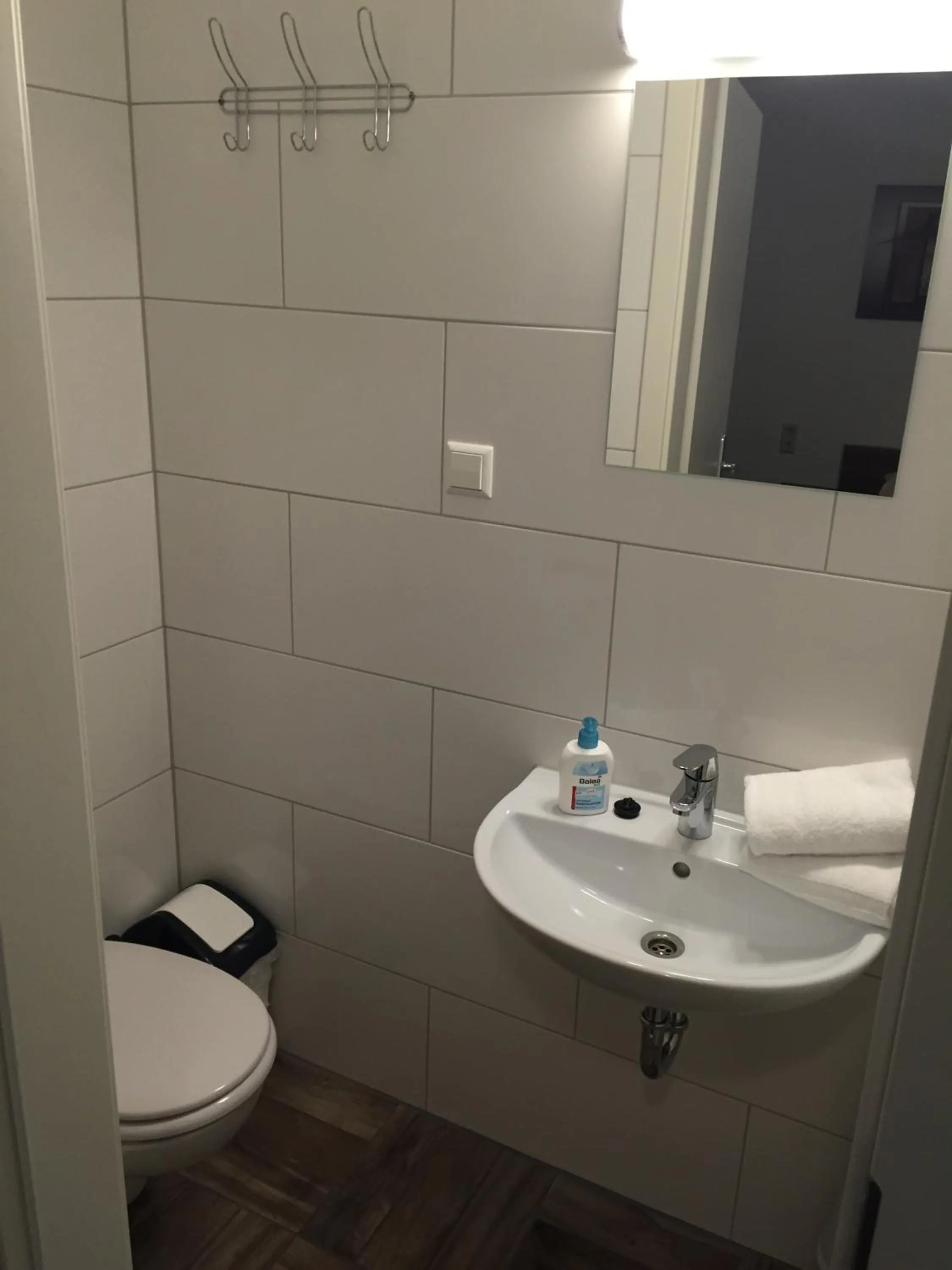 Bathroom in Hotel Engel
