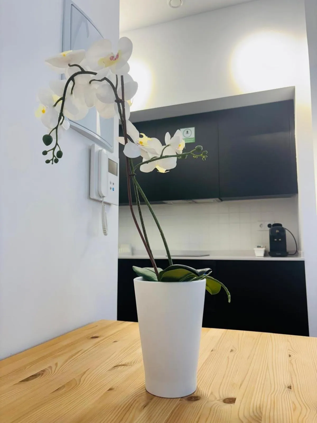 Kitchen or kitchenette in Apartahotel Espai Verd Benimaclet