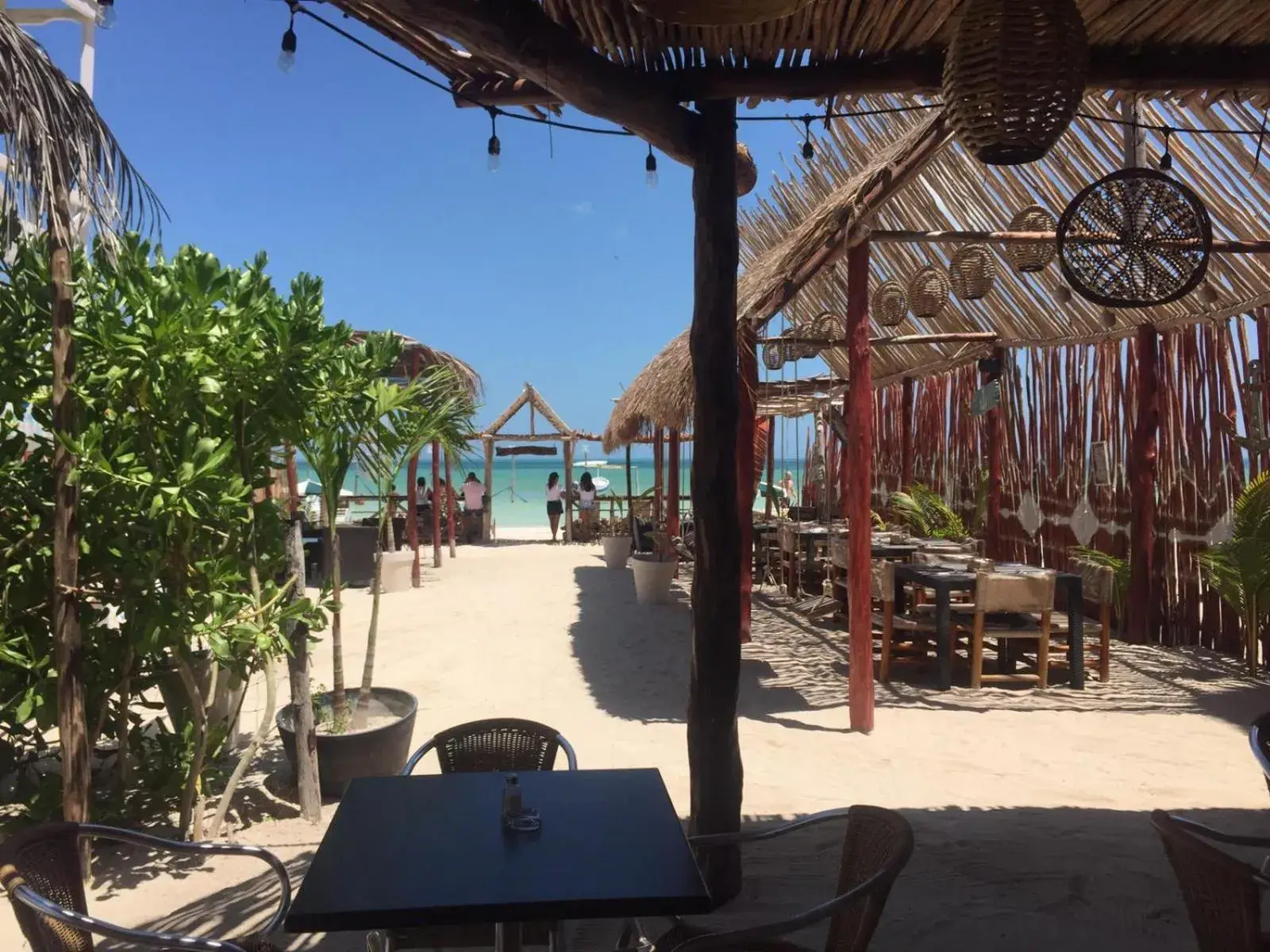 Restaurant/places to eat in Ensueño Holbox & Beach Club Restaurant/places to eat in Ensueño Holbox & Beach Club