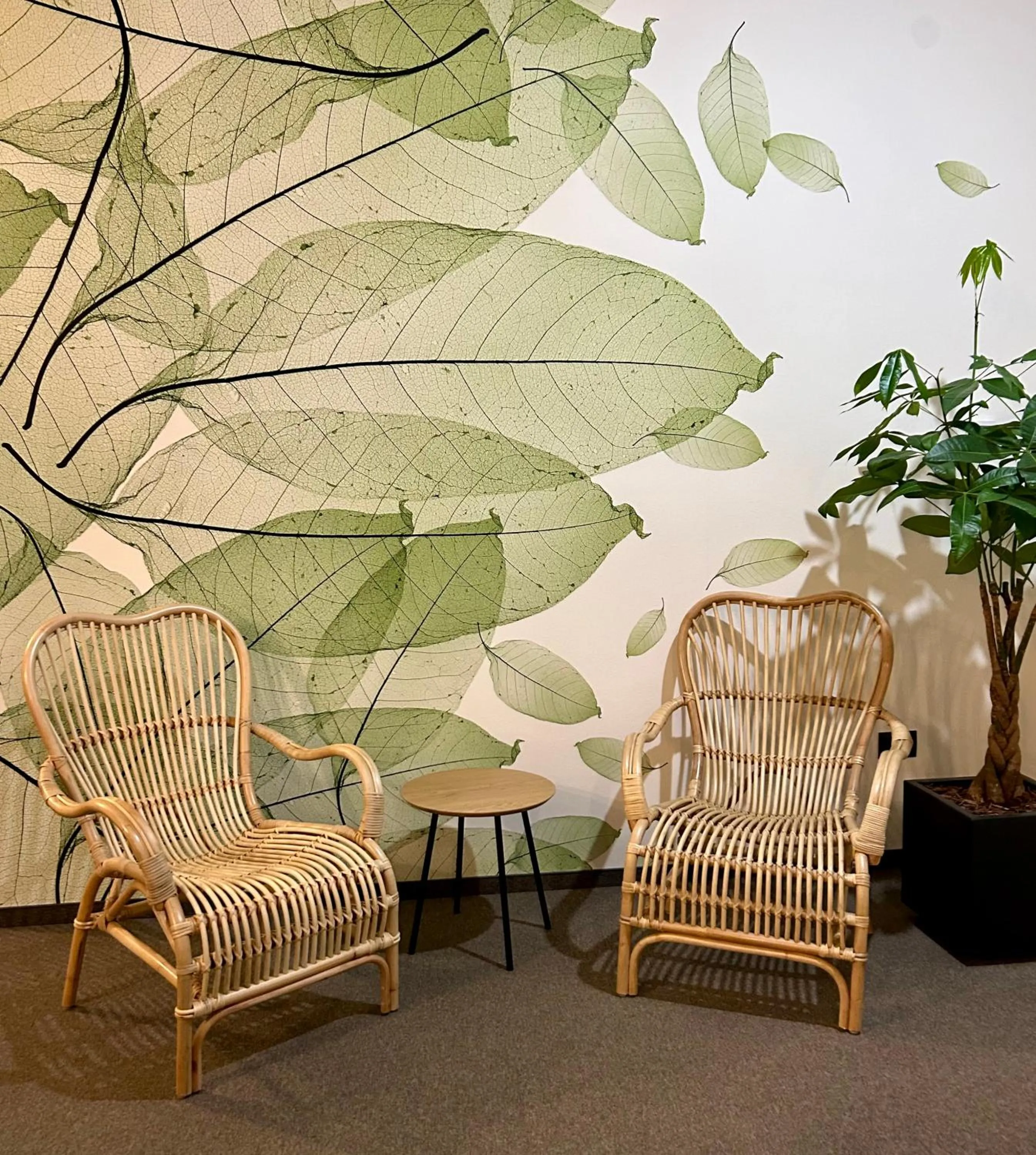Seating area in Nature Nest Bran - Adults Only