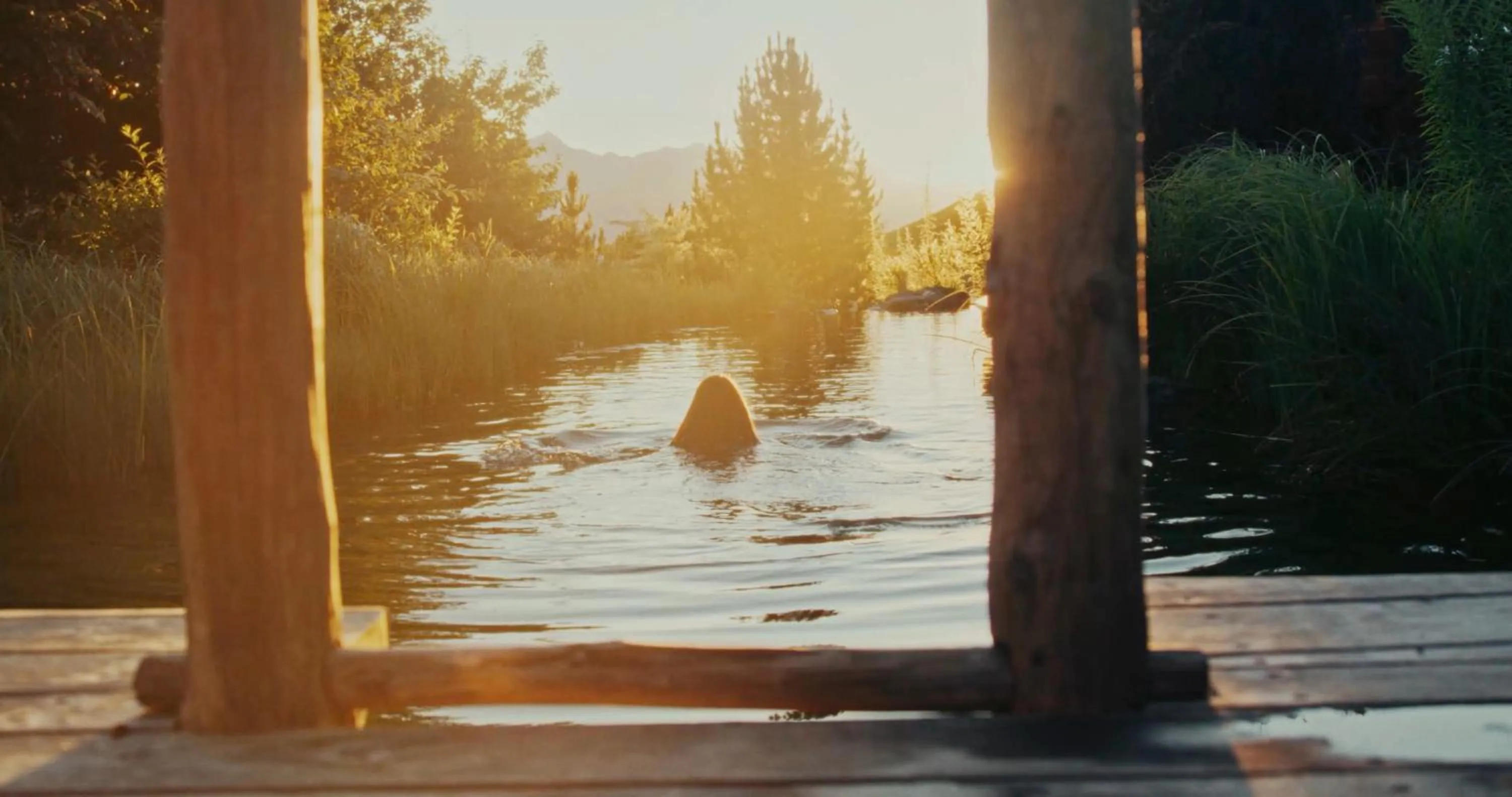 Spa and wellness centre/facilities in Naturhotel Lüsnerhof