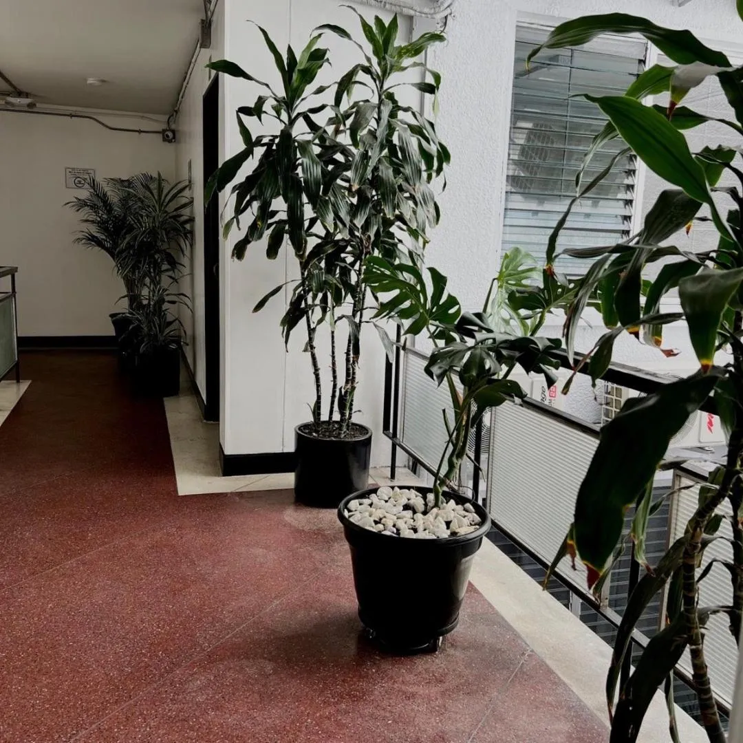 Hotel Villa Nueva Comfort