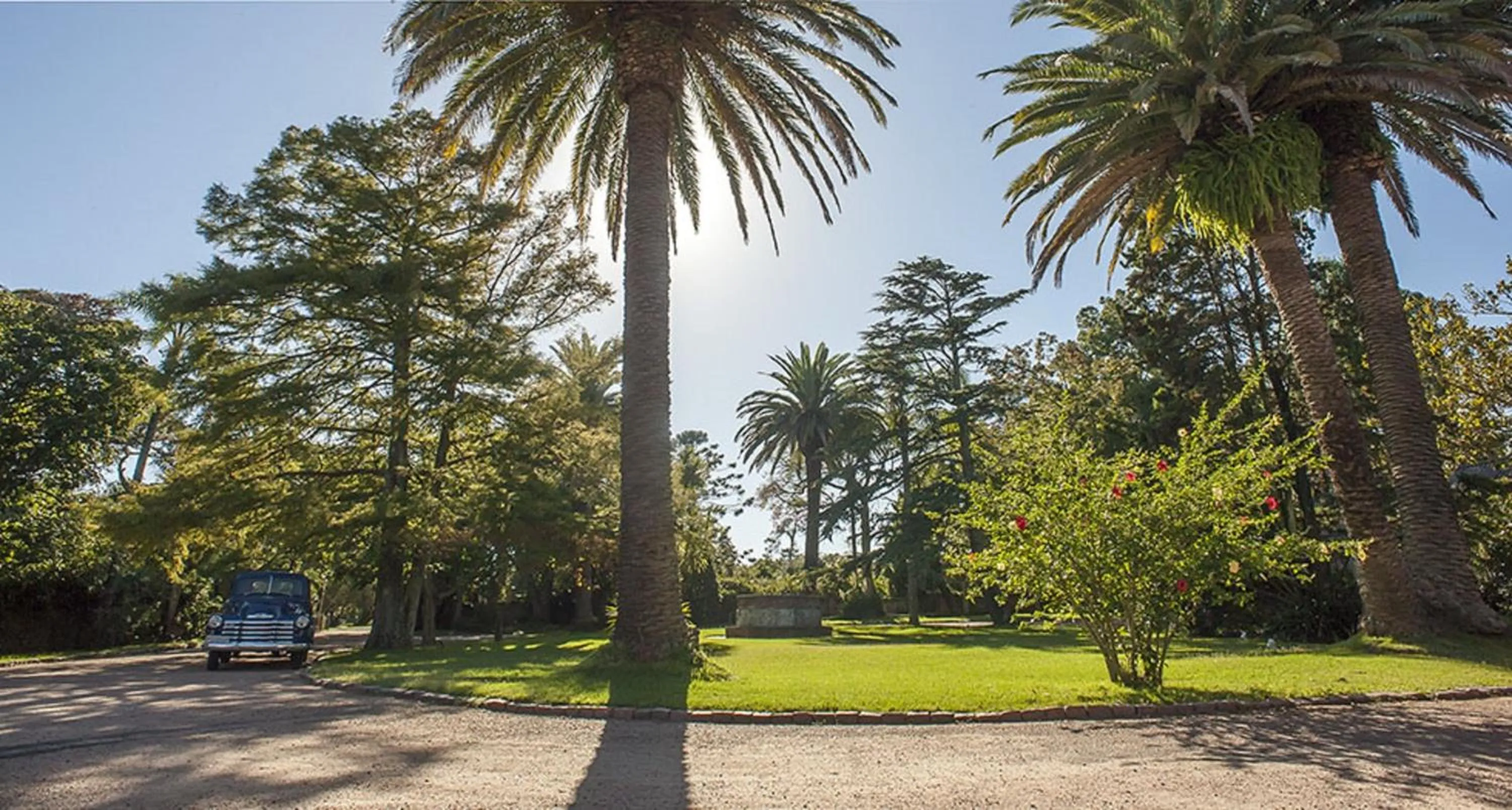 Spring in La Baguala