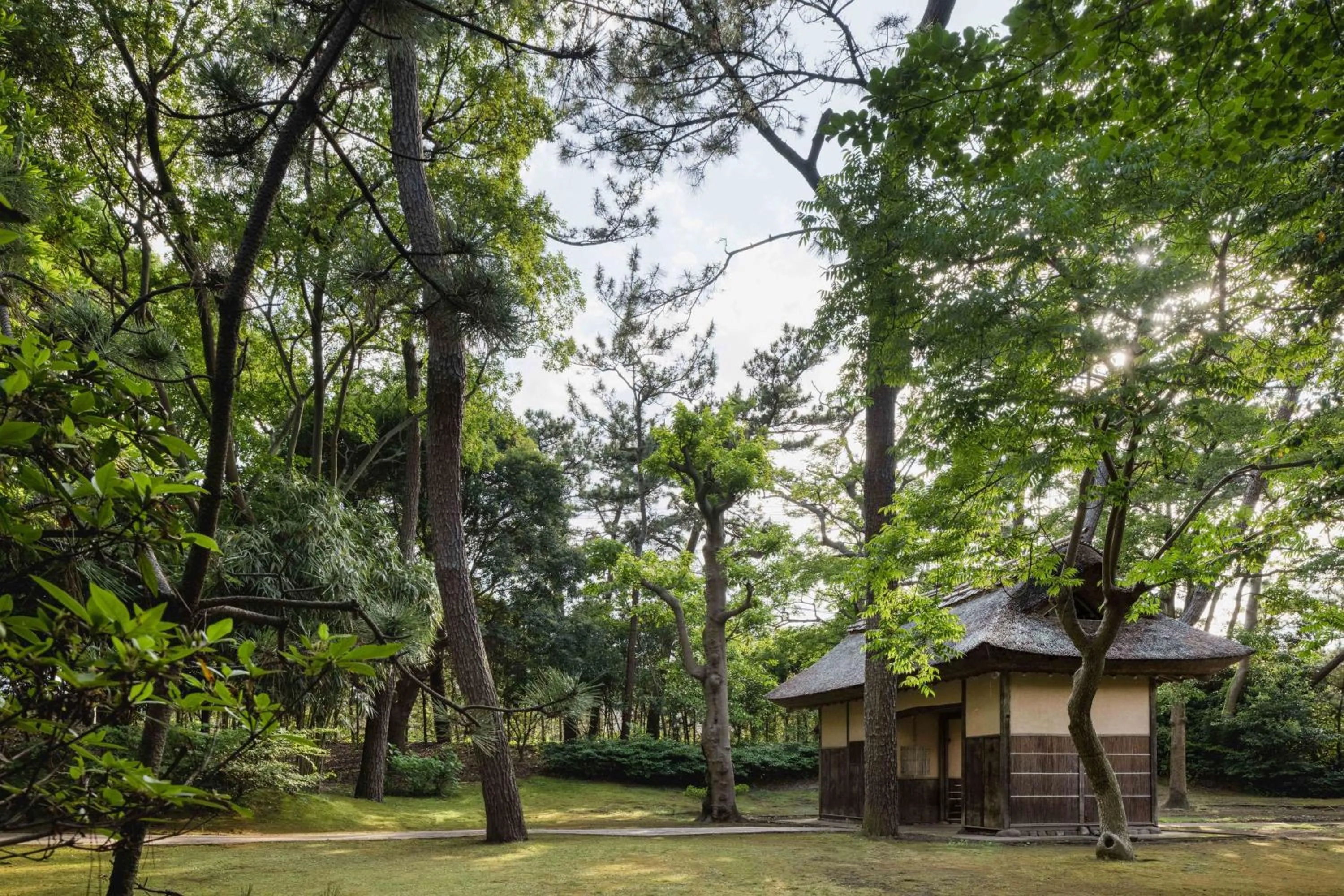 Garden in Numazu Club