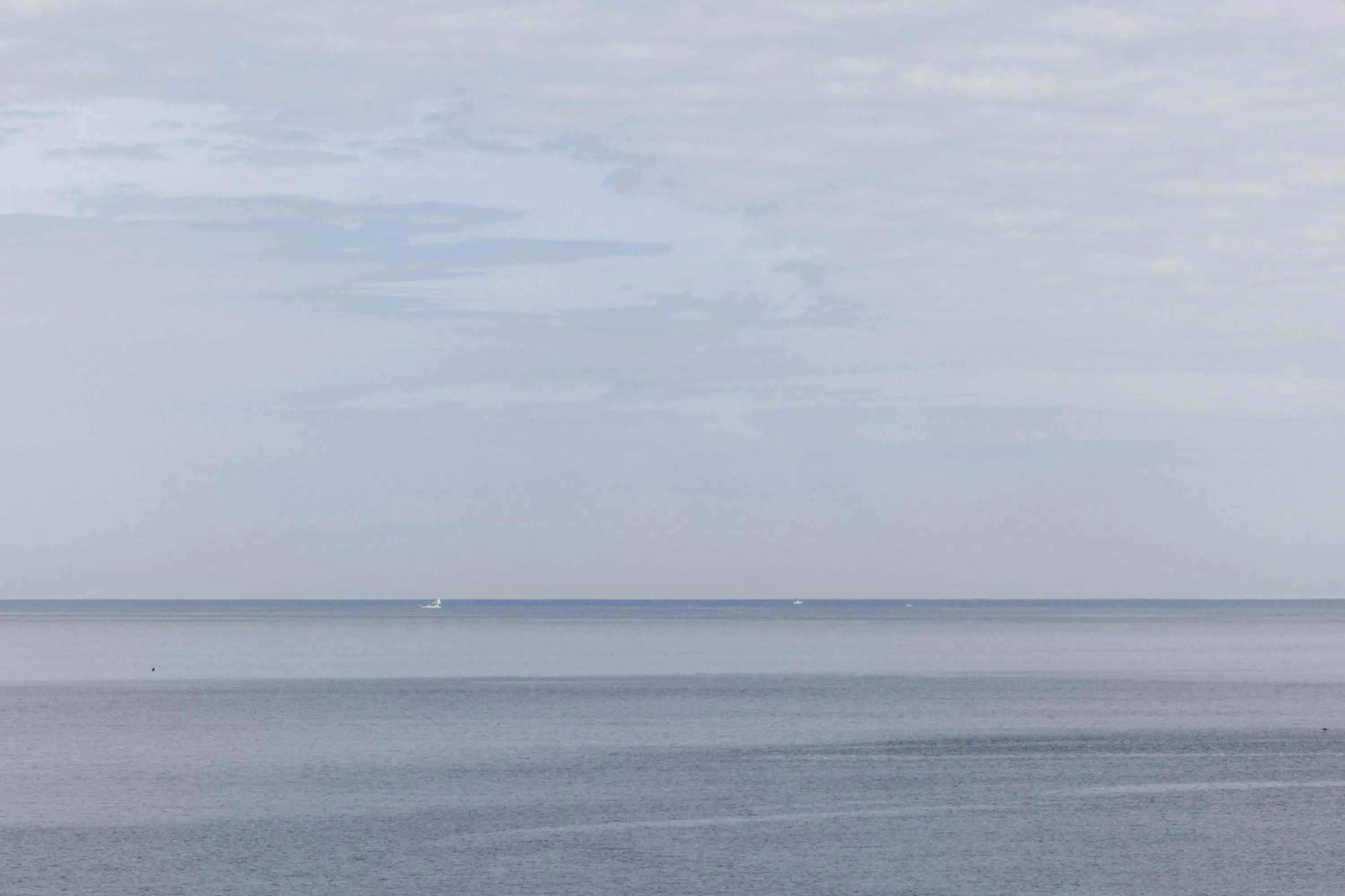 Natural landscape in Numazu Club