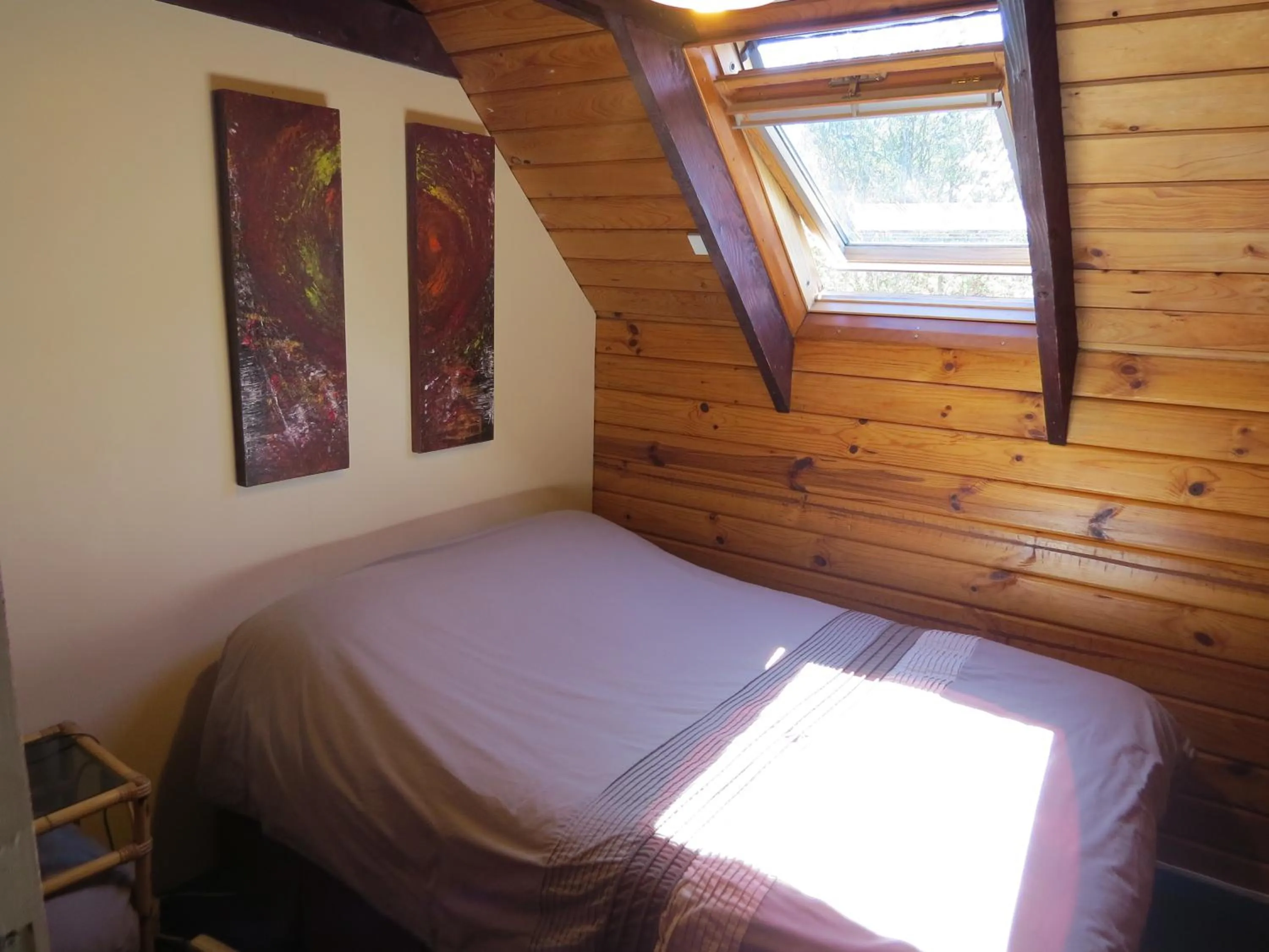 Photo of the whole room, Bed in Hanmer Backpackers
