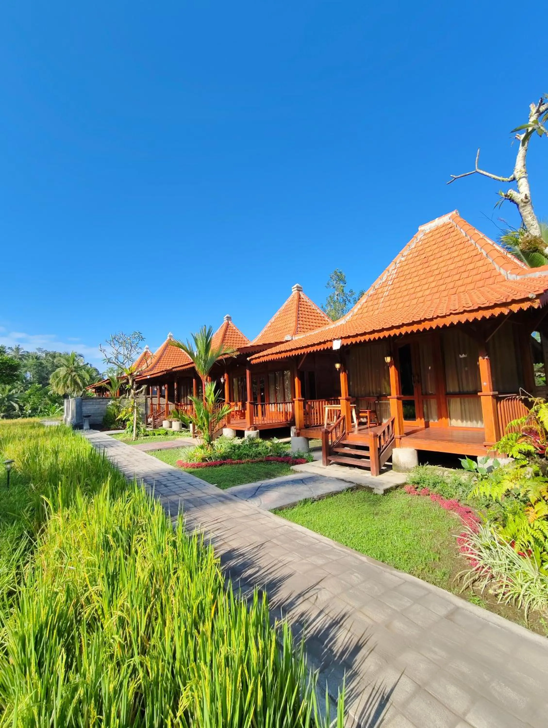 Property building in Uma Ulun Dugul Ubud by Dhananjaya Hospitality