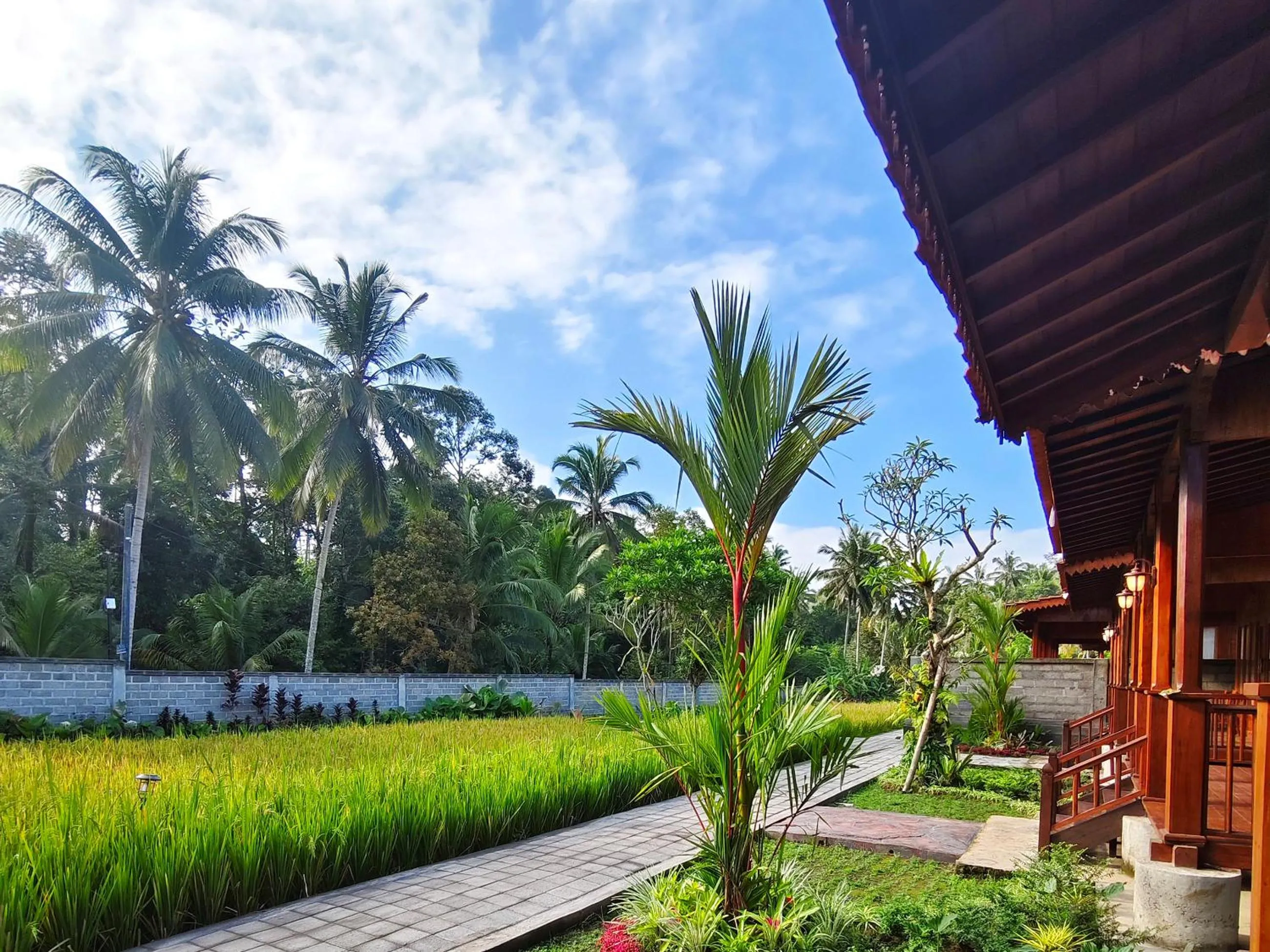 Day in Uma Ulun Dugul Ubud by Dhananjaya Hospitality