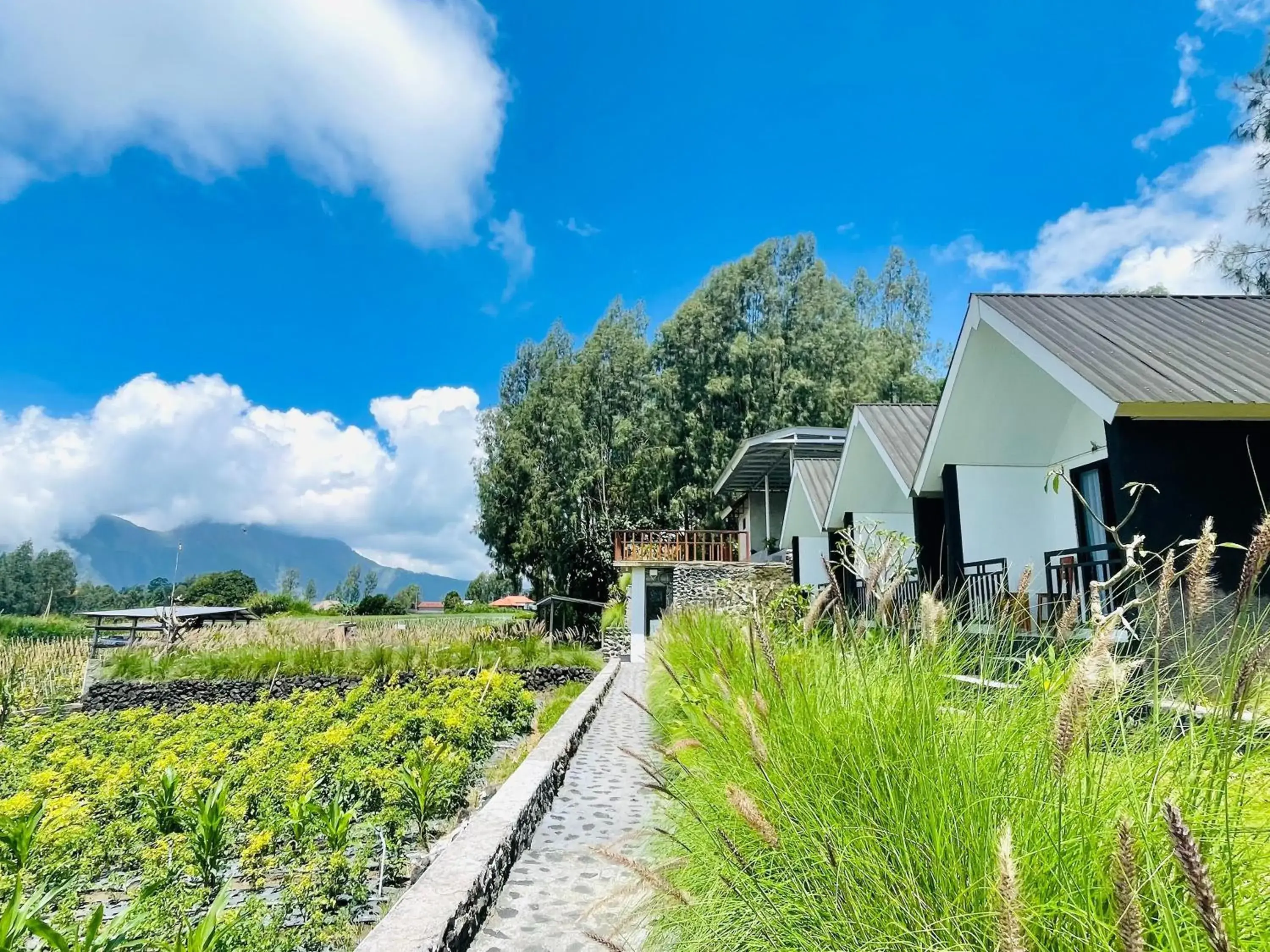 Property building in The Iris Kintamani Property building in The Iris Kintamani