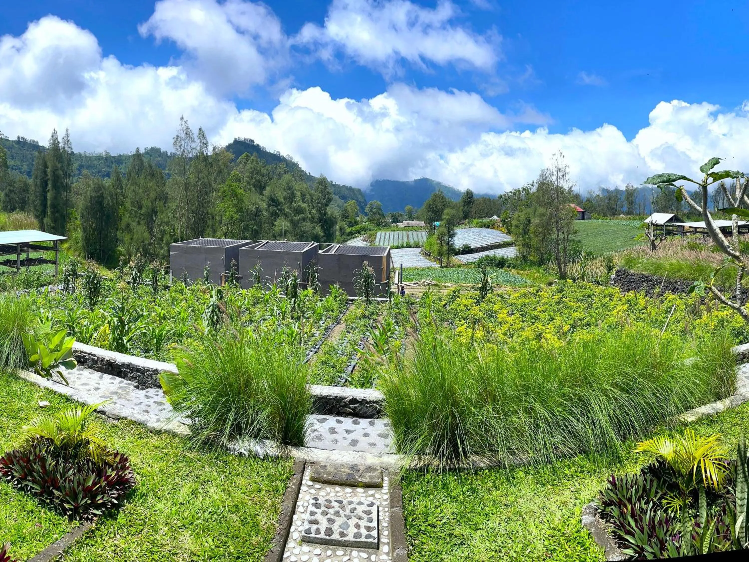 Natural landscape in The Iris Kintamani