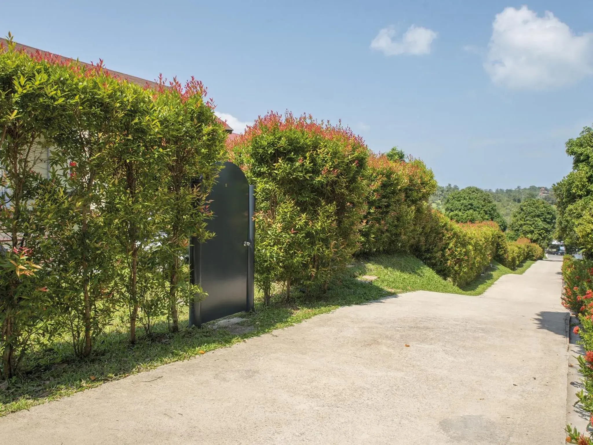 Facade/entrance in Moon Cottage Facade/entrance in Moon Cottage