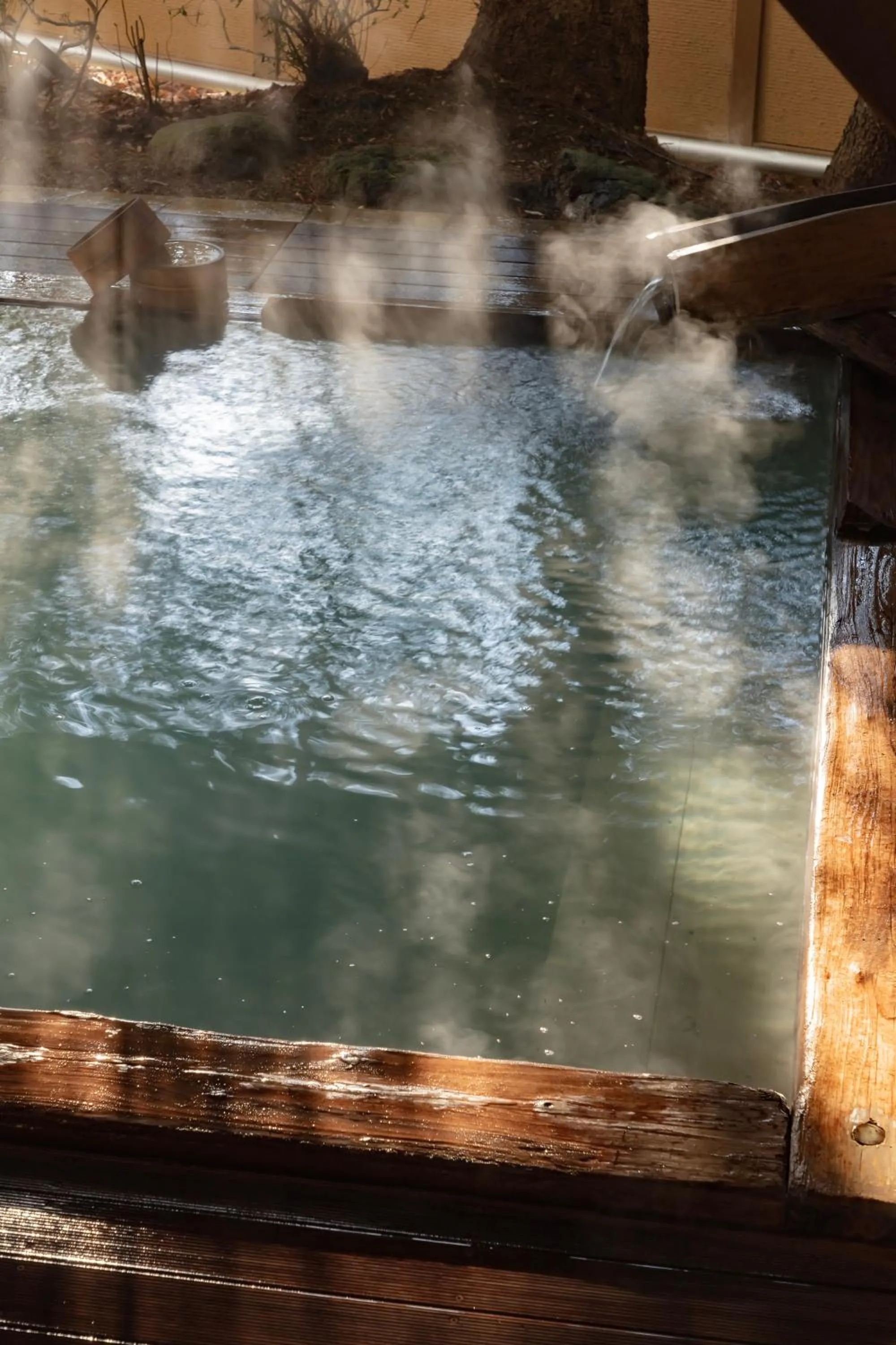 Hot Spring Bath in Azumakan