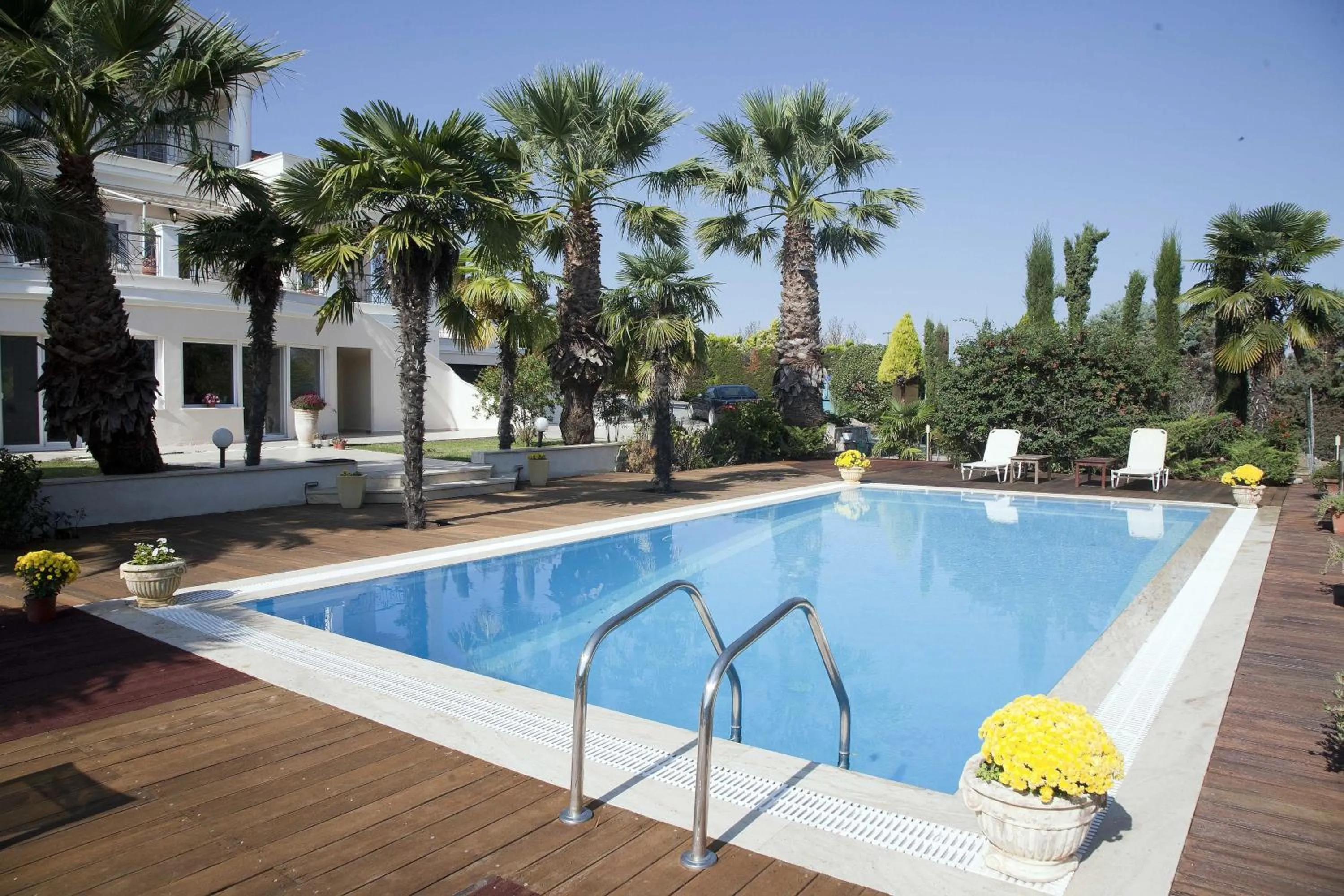 Swimming pool in Villa Elena