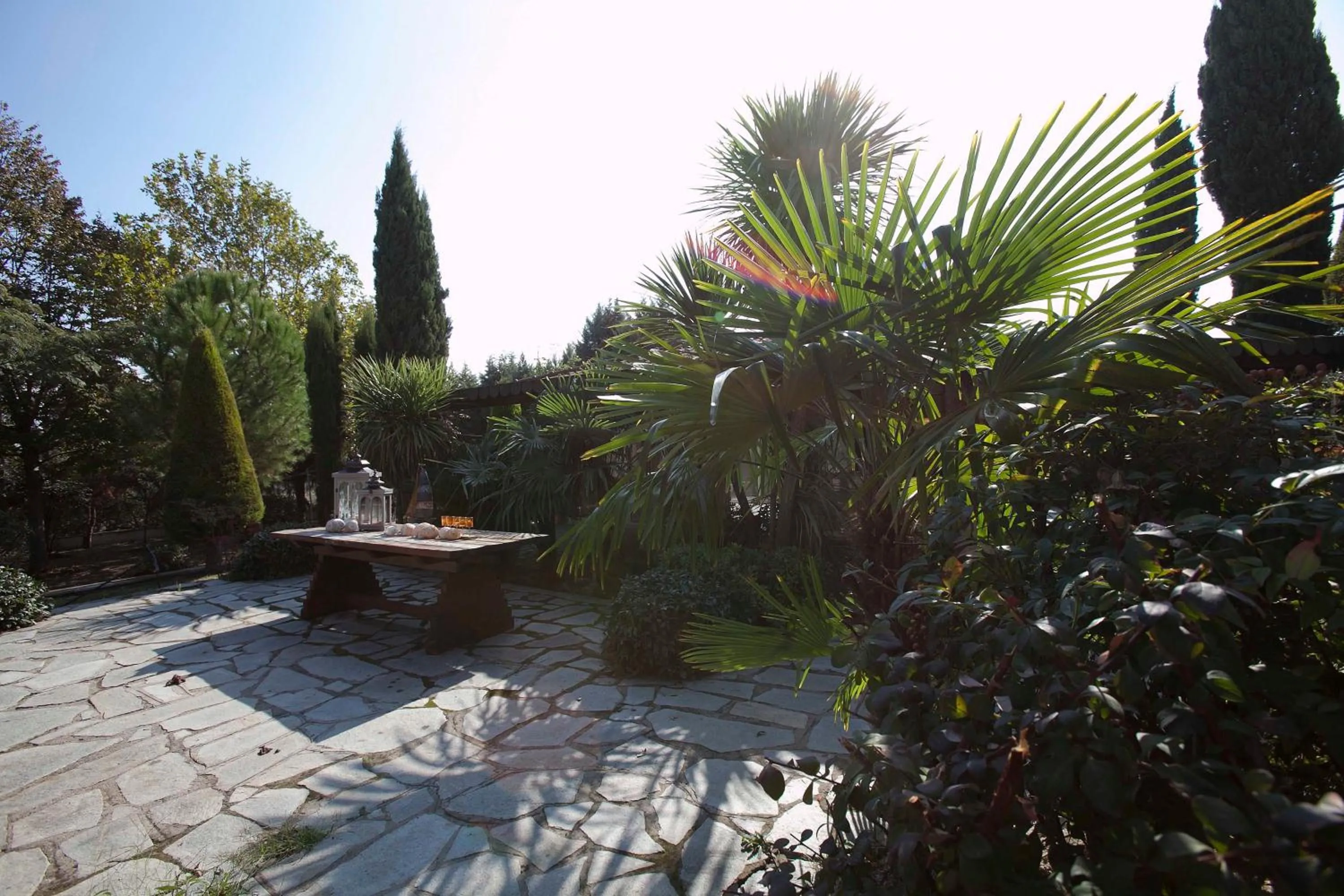 Garden in Villa Elena