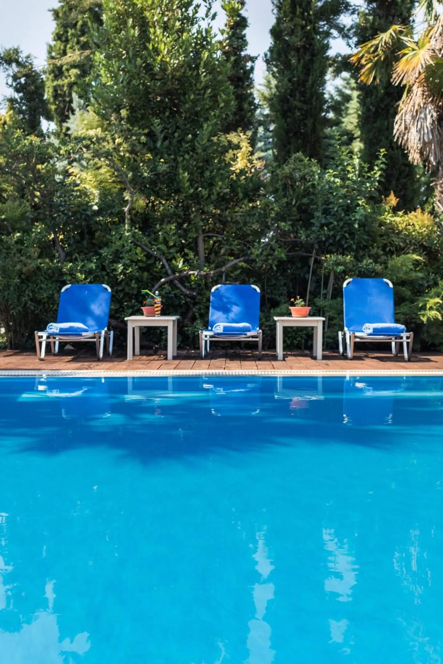 Swimming pool in Villa Elena
