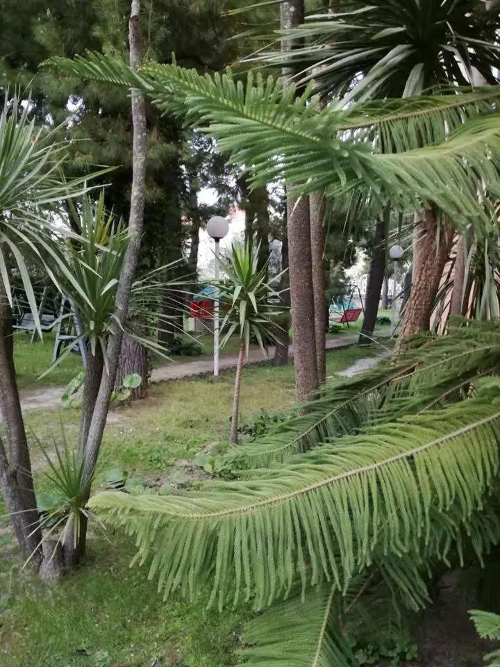 Garden in Hotel La Terrazza