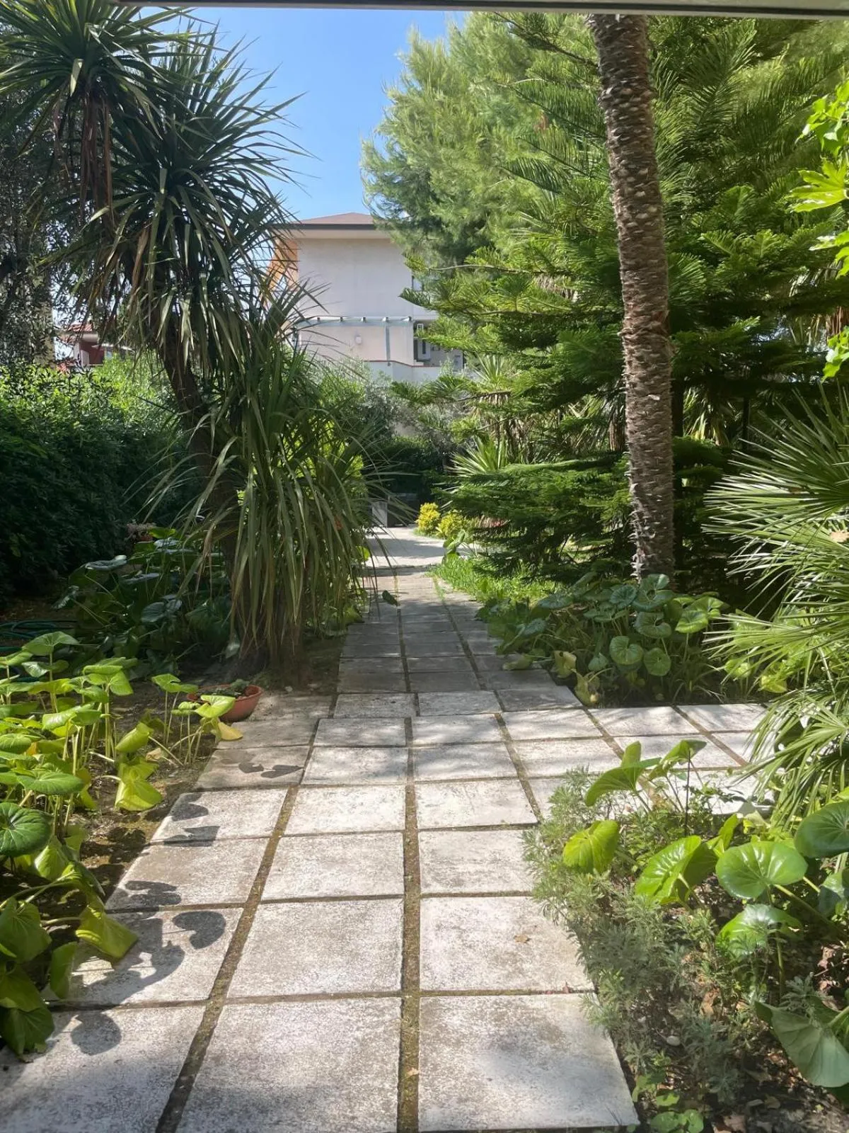 Garden in Hotel La Terrazza