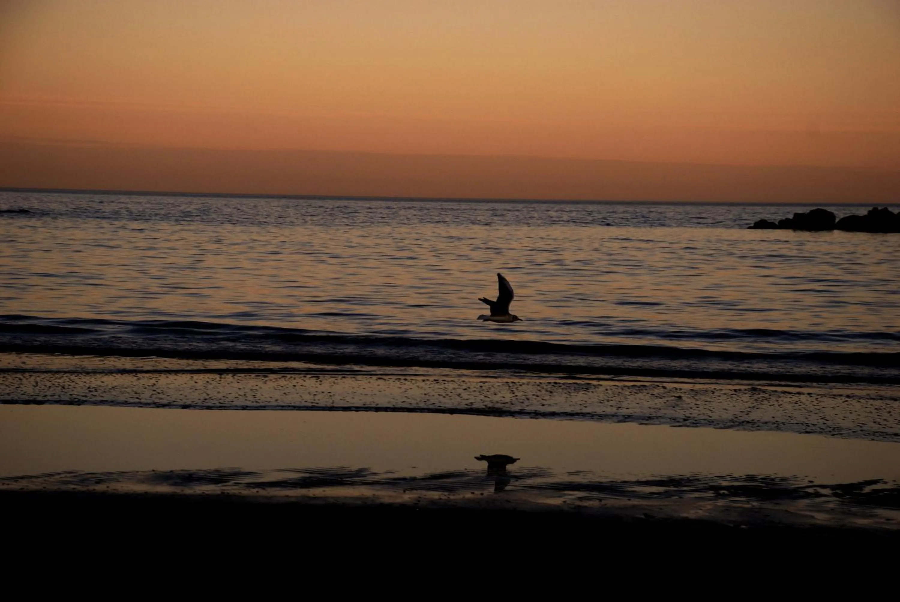 Natural landscape in Hotel La Terrazza