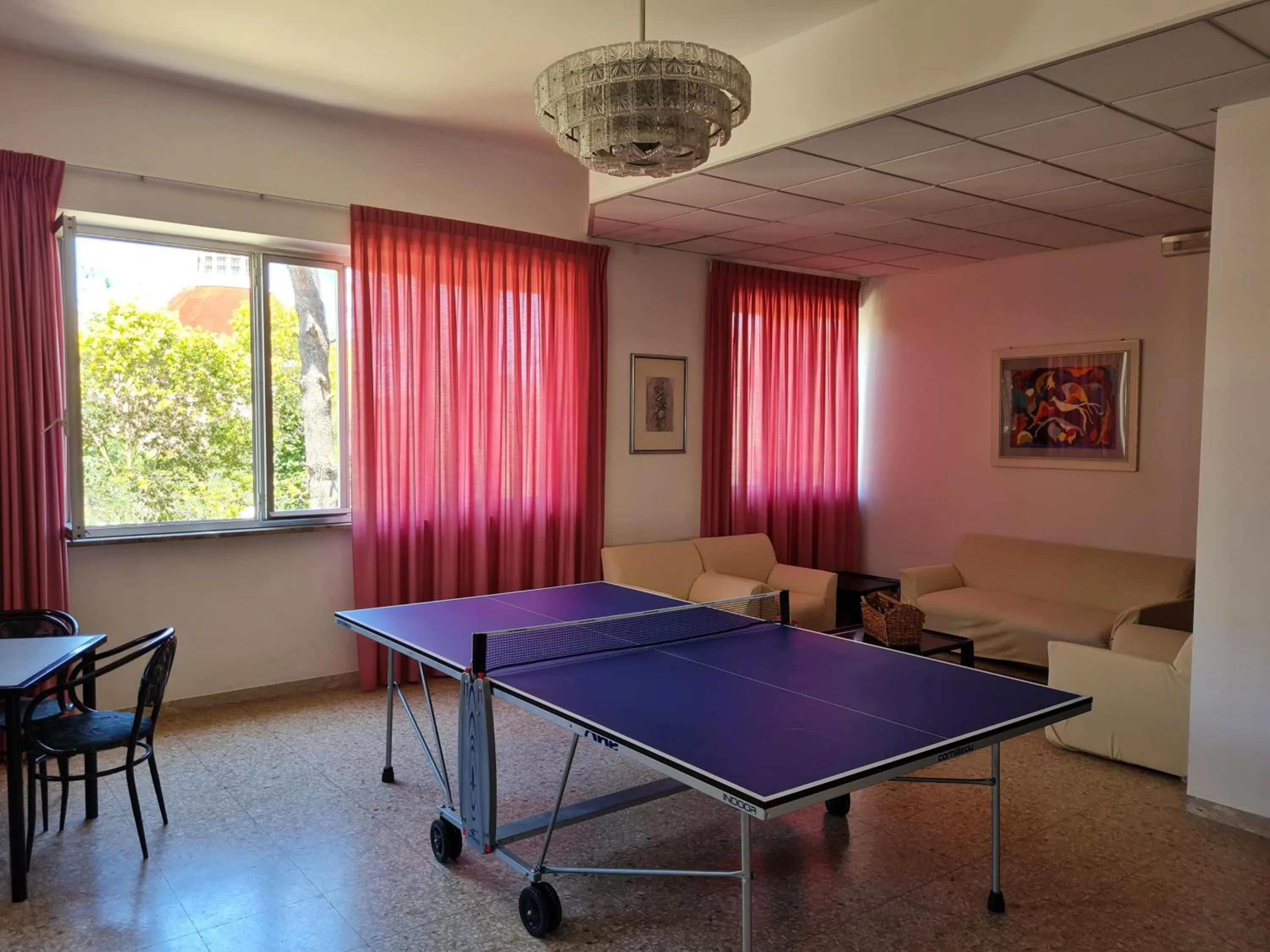 Table tennis in Hotel La Terrazza