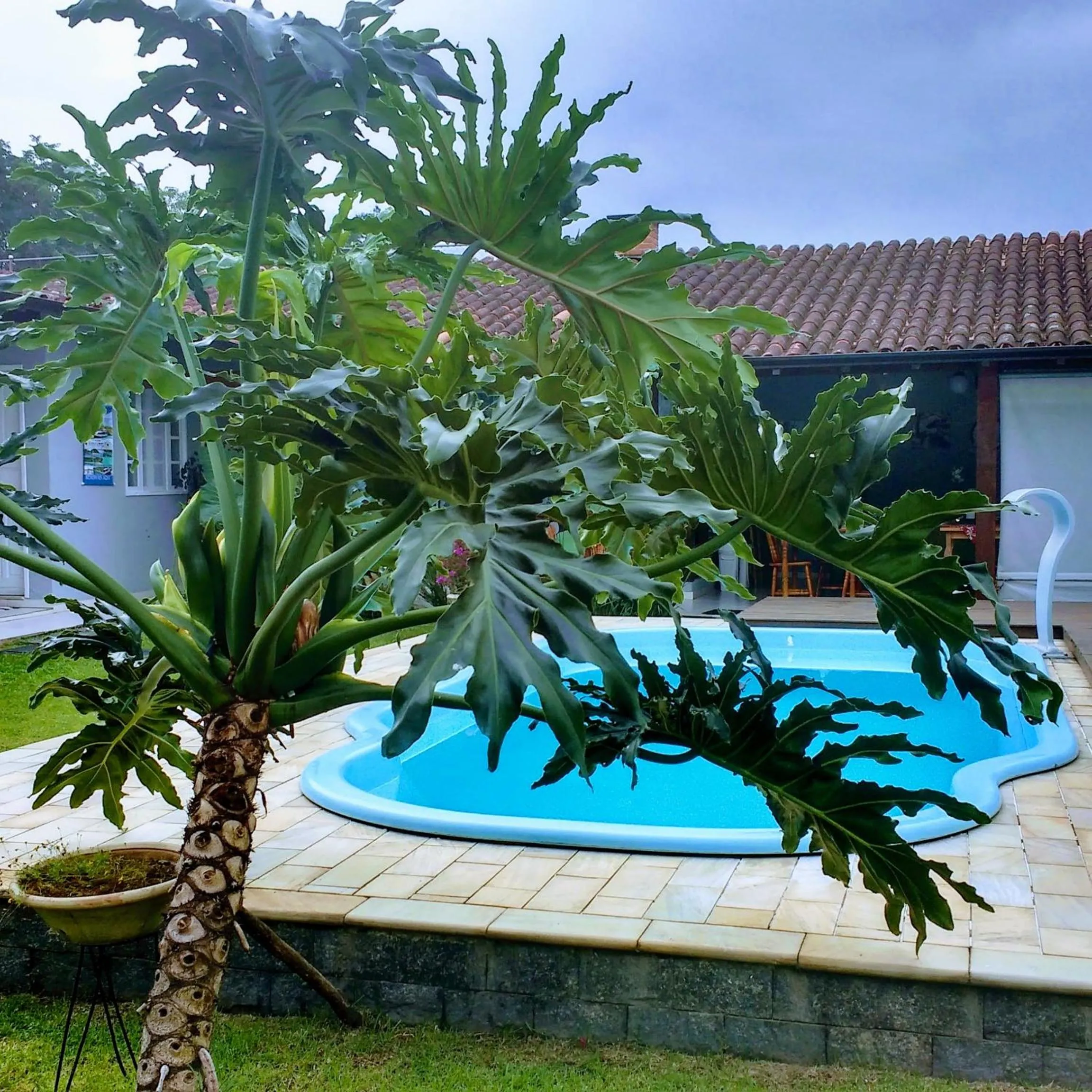 Pool view in Pousada Açai