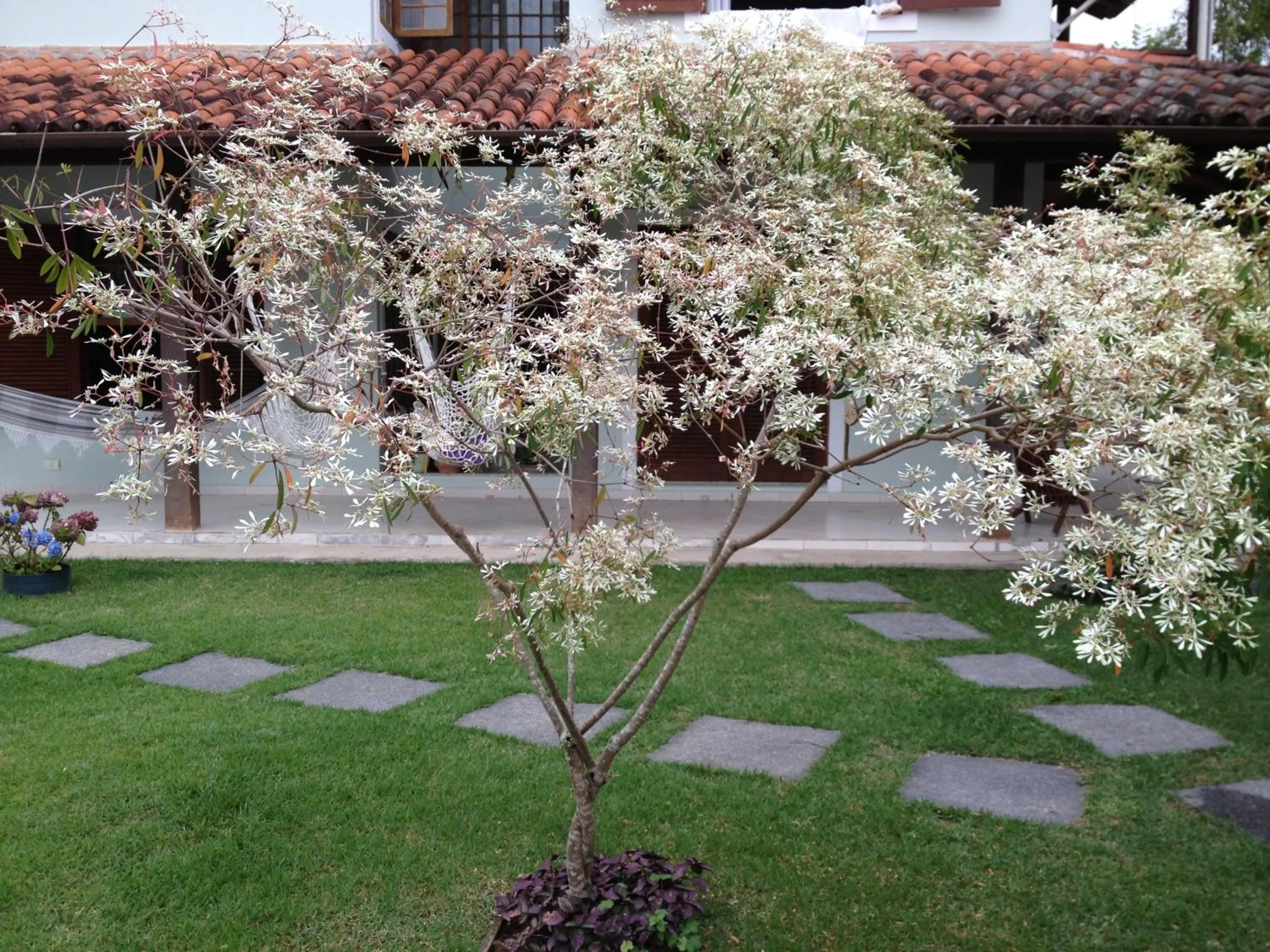 Garden in Pousada Açai