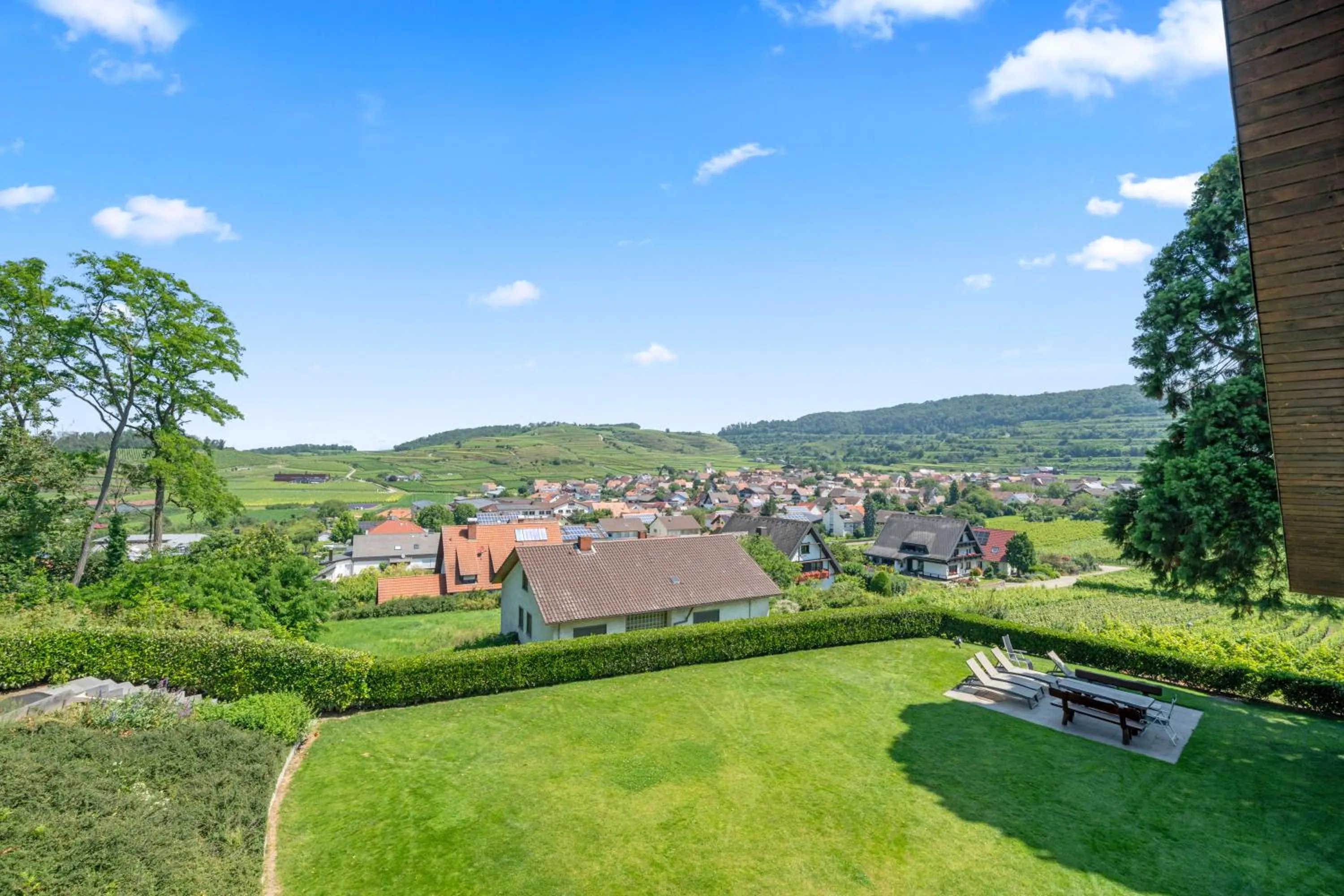 Köpfers Steinbuck