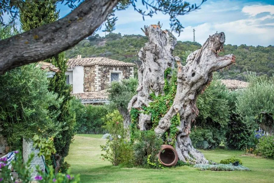 Garden in Nicolaus Prime Villas Resort
